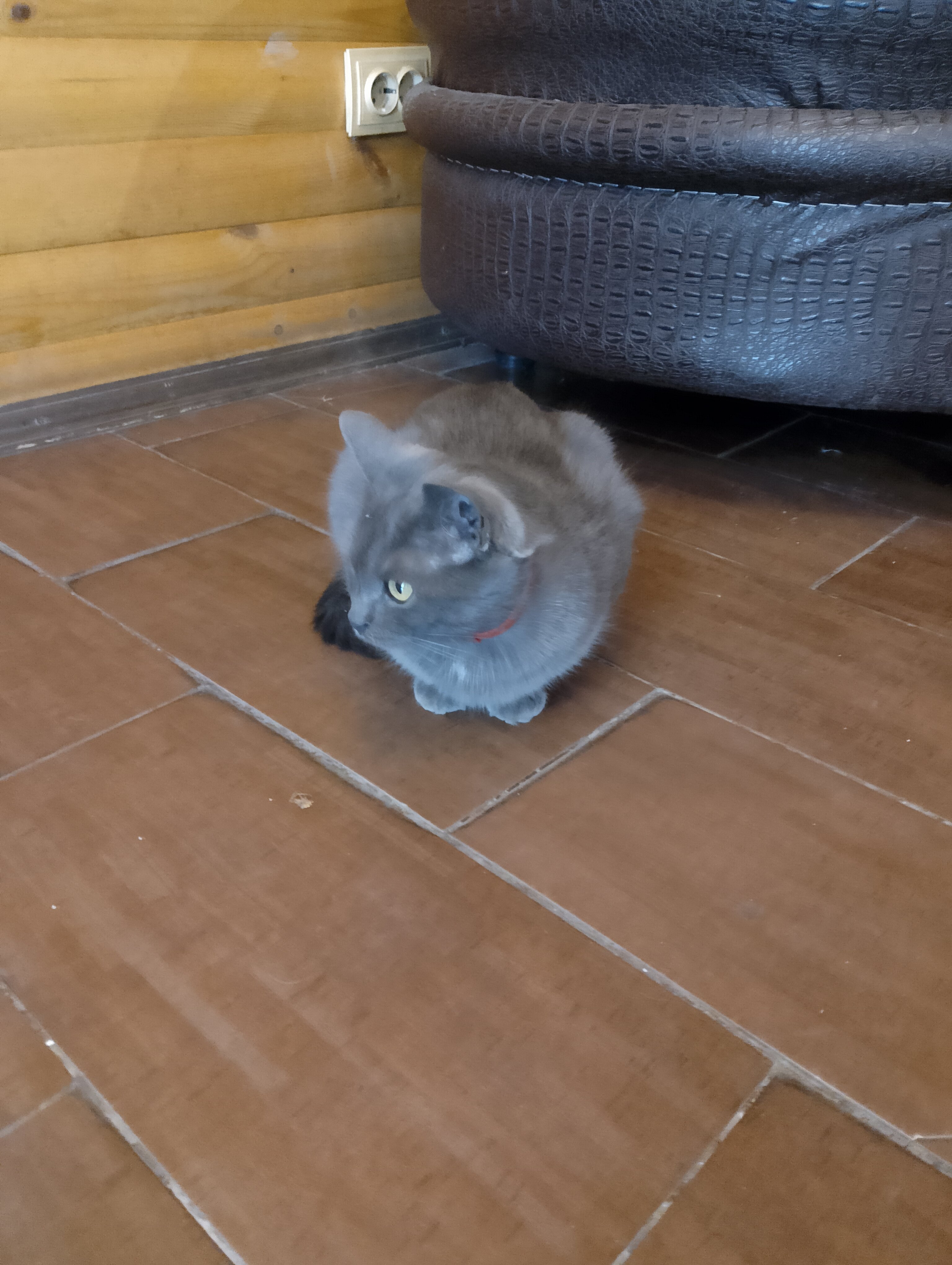 Фото Надежда