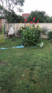 Гостевой дом 524