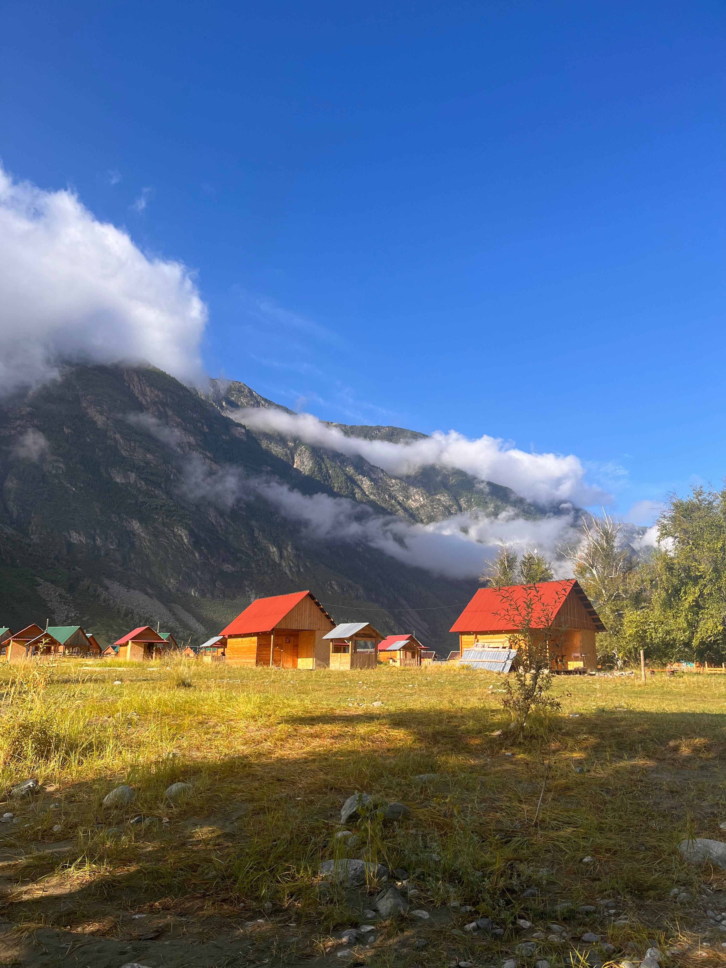 Фото АлтайЭкоКедр