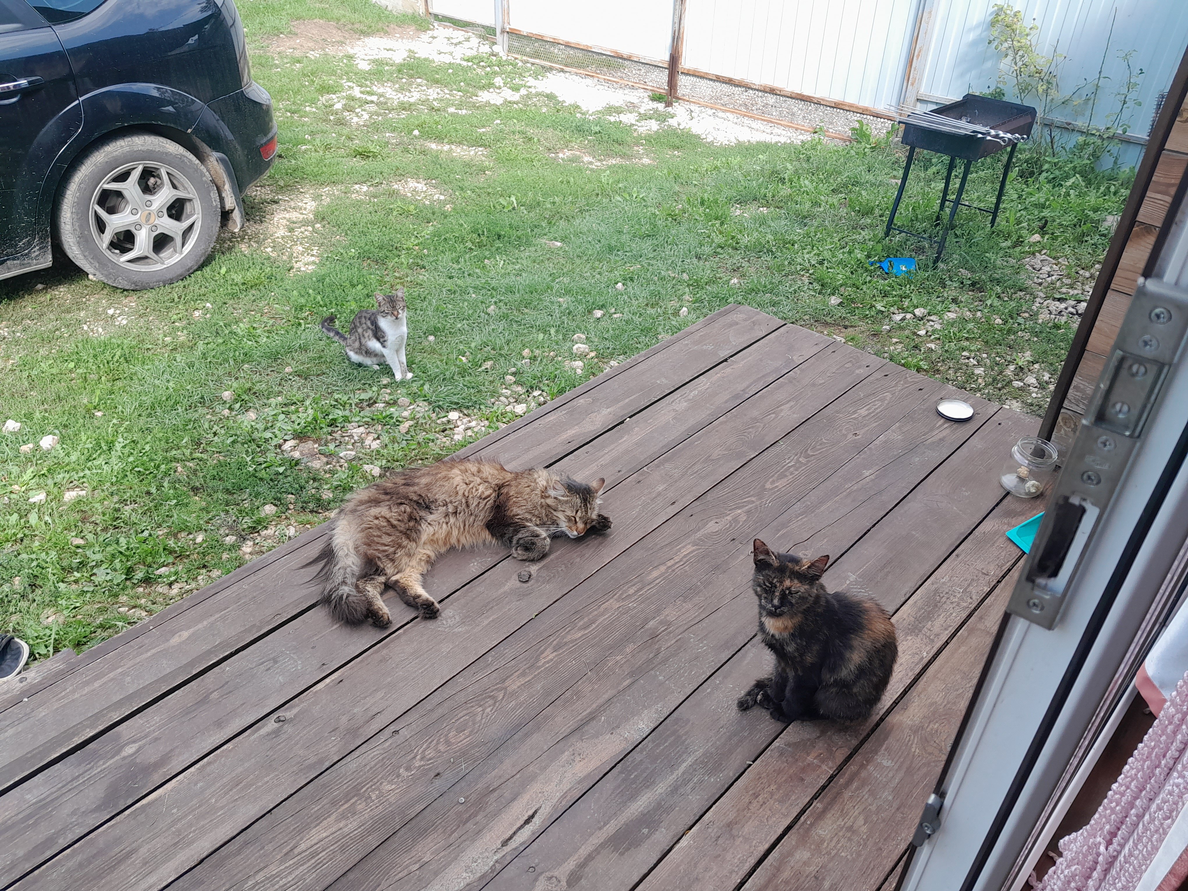 Фото Горы и точка