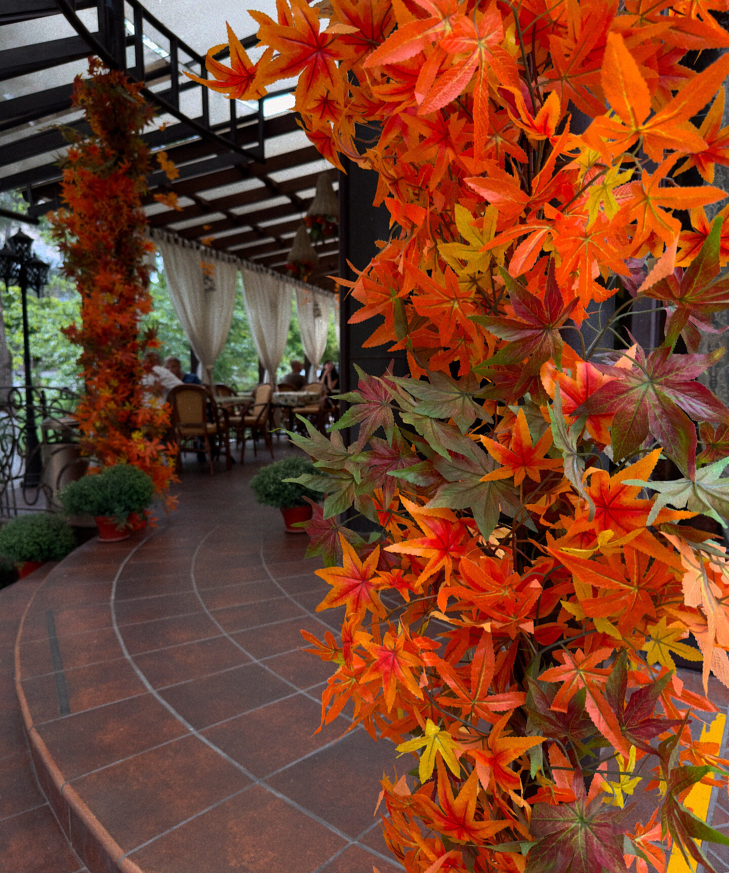 Фото Прованс