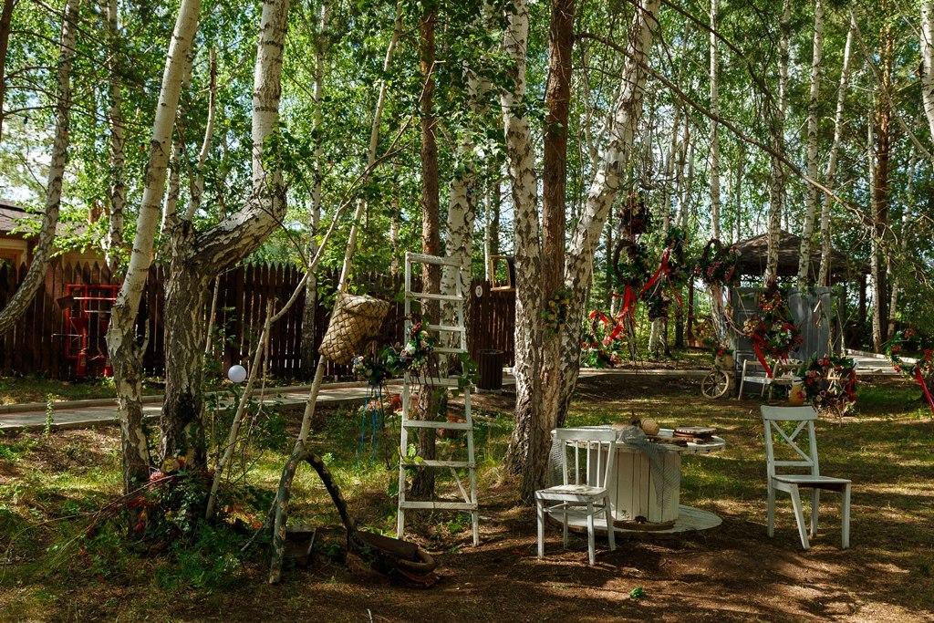 Фото Белая лошадь