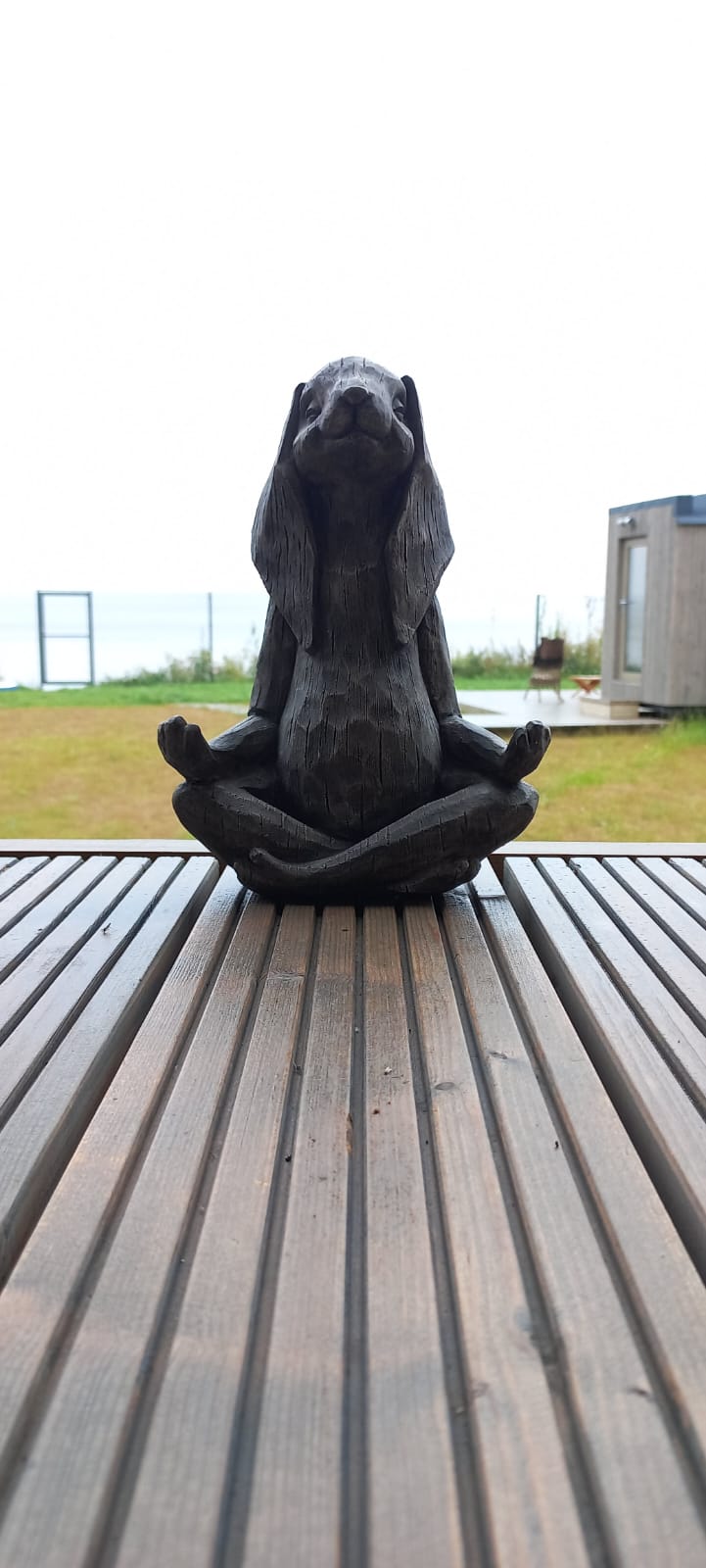 Фото Белый кролик