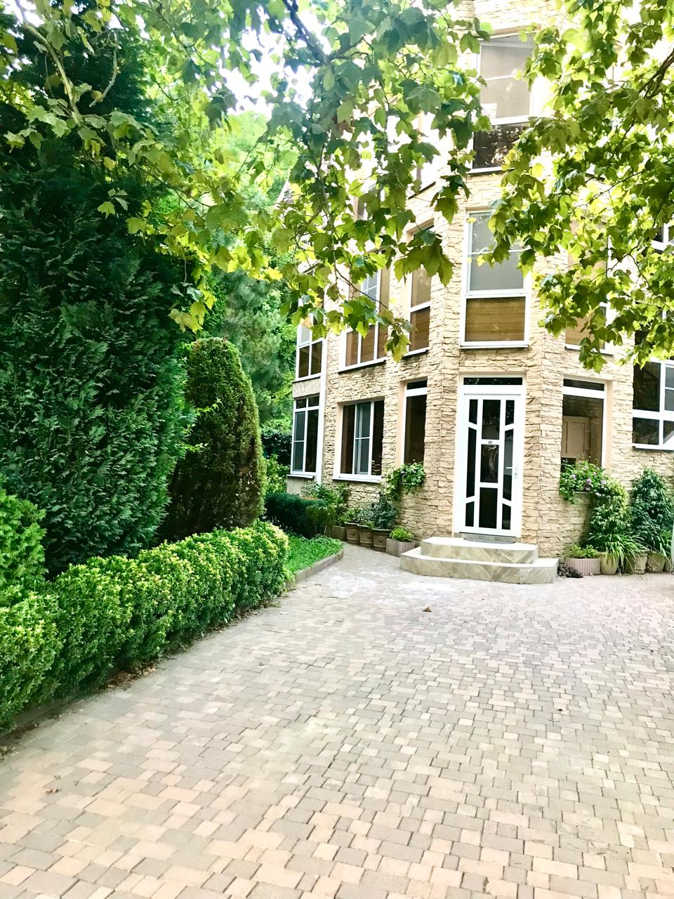 Фото Розмарин