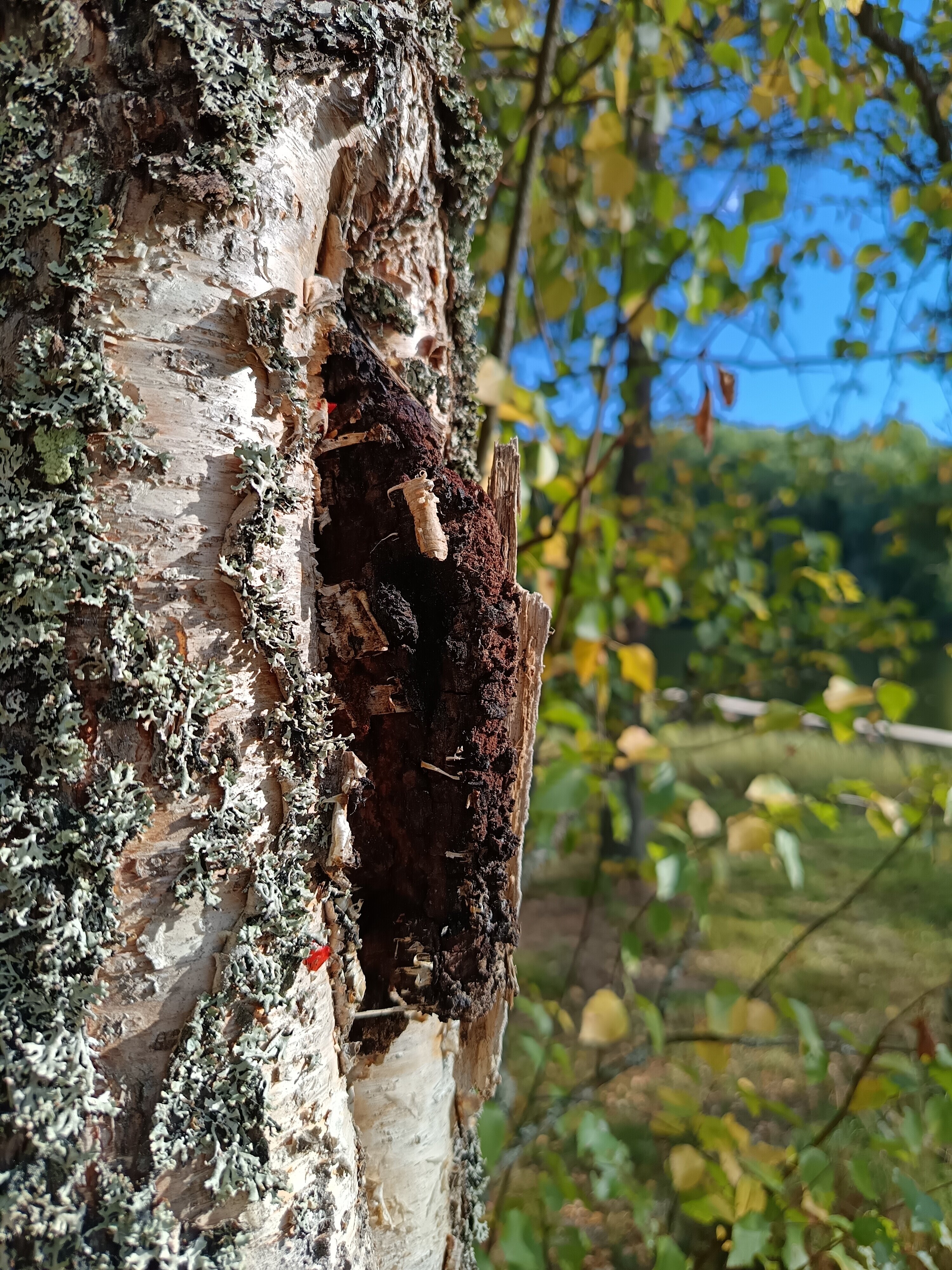 Фото Бухта Лапиковых