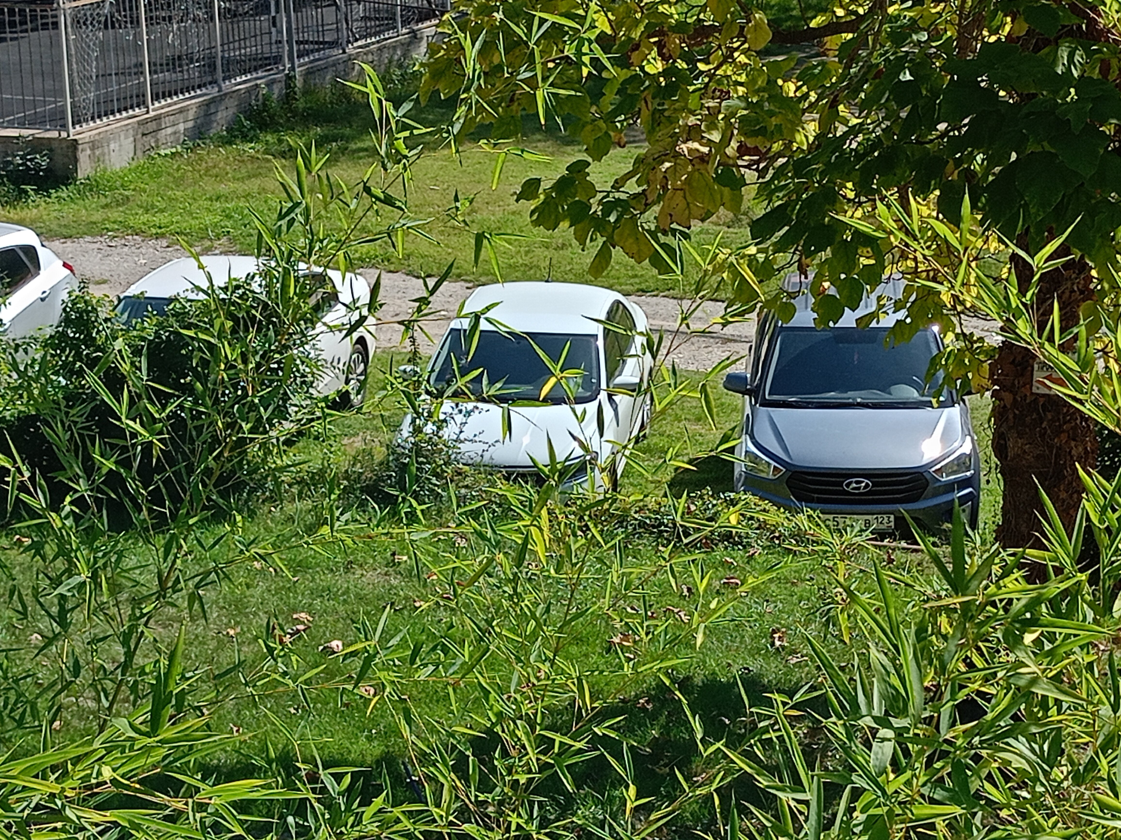 Фото Family Club Delmar