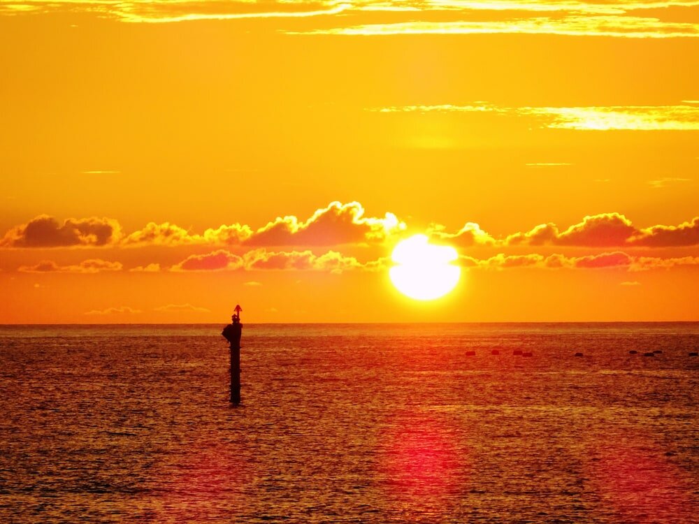 Фото Condominium Hotel Monpa