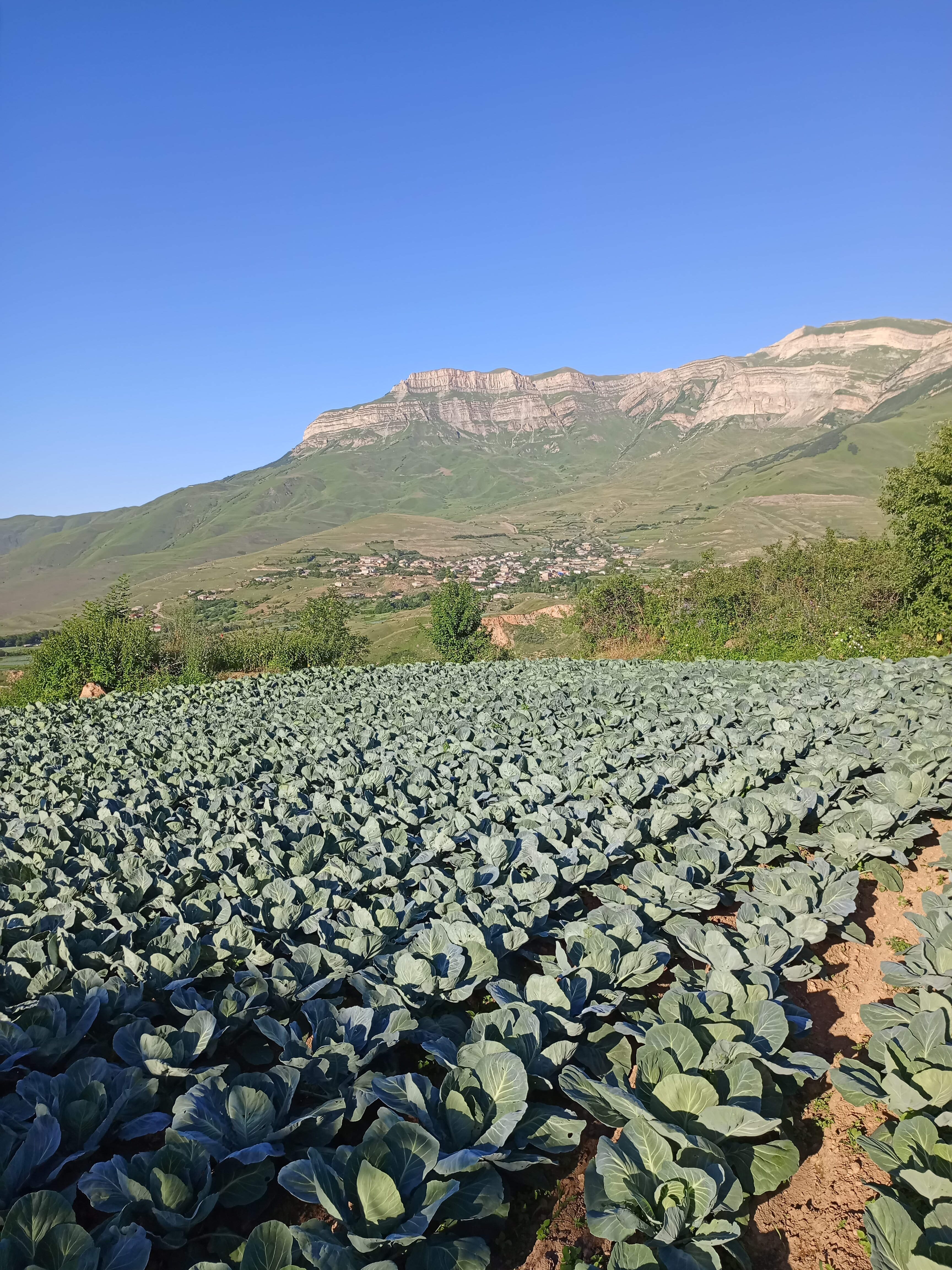 Фото Дубовая Роща