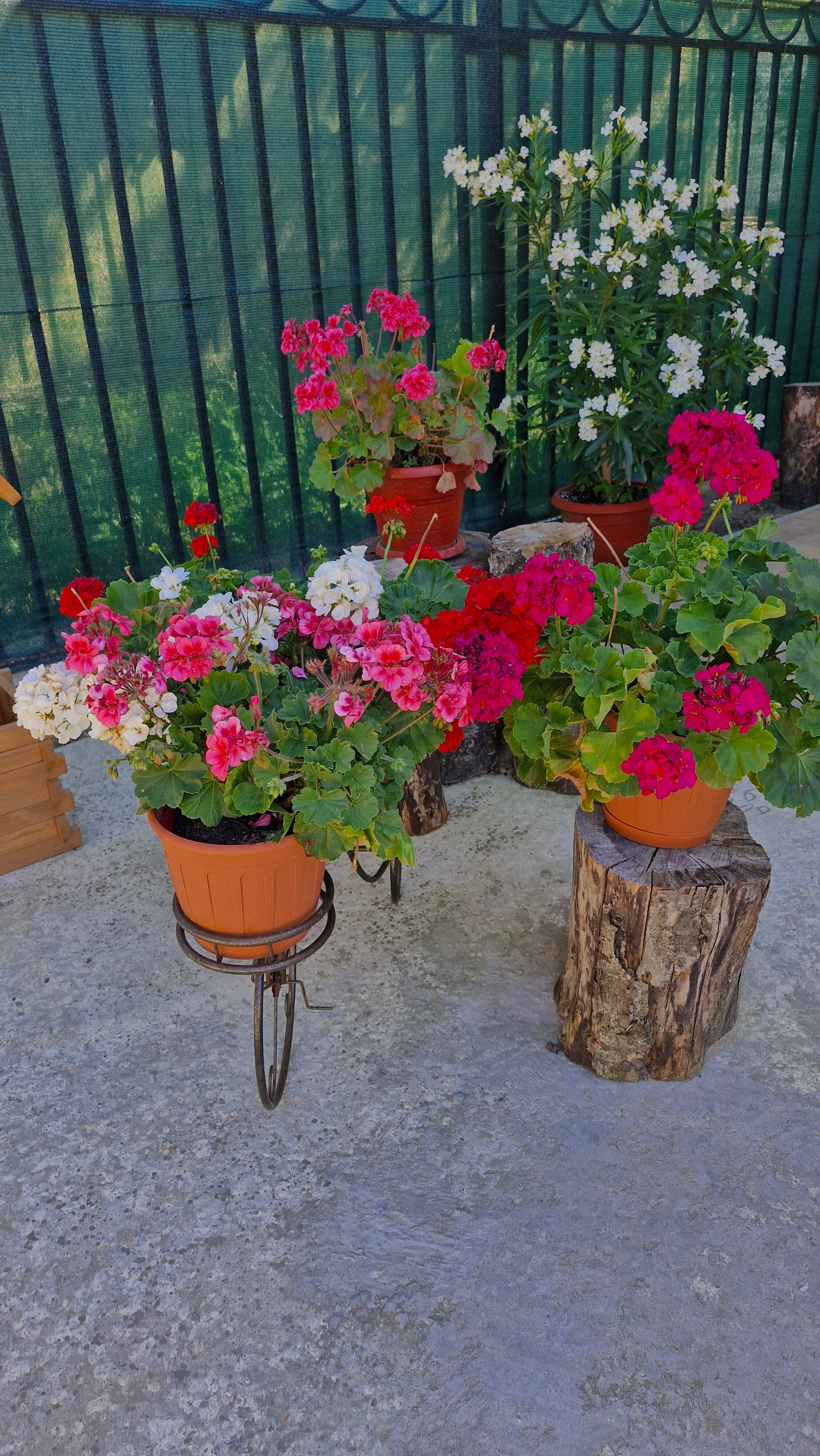 Фото МореРядом