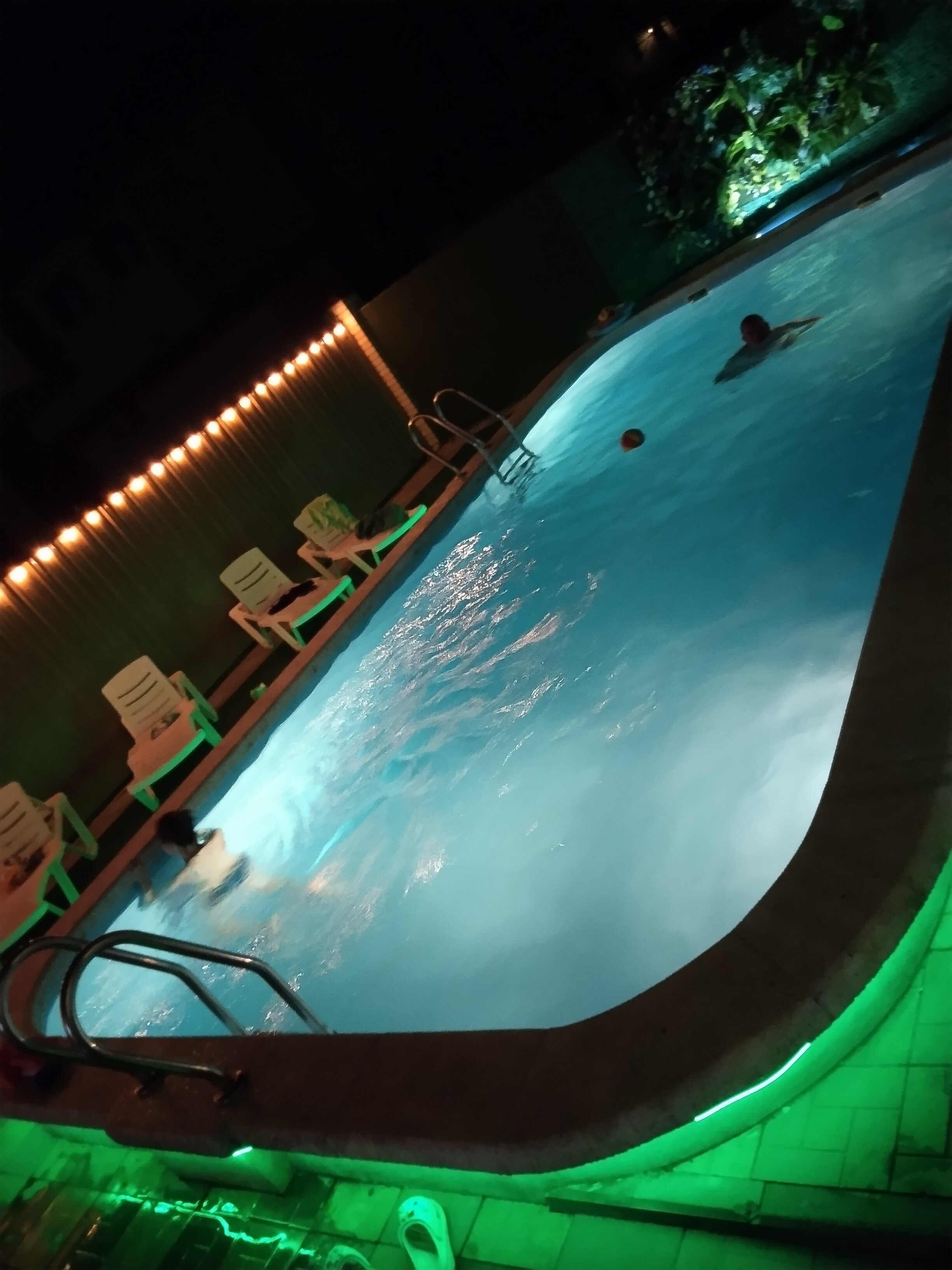 Фото Green Elephant