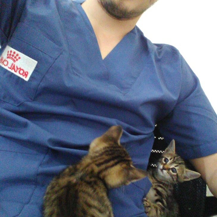 عيادة بيطرية Patik Veteriner Muayenehanesi ، اسطنبول، صورة
