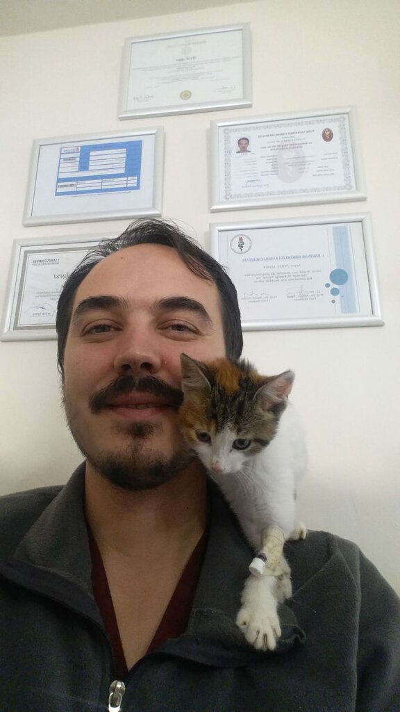 عيادة بيطرية Patik Veteriner Muayenehanesi ، اسطنبول، صورة