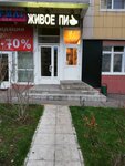 Живое пиво (ulitsa Sitnikova, 6), beer shop