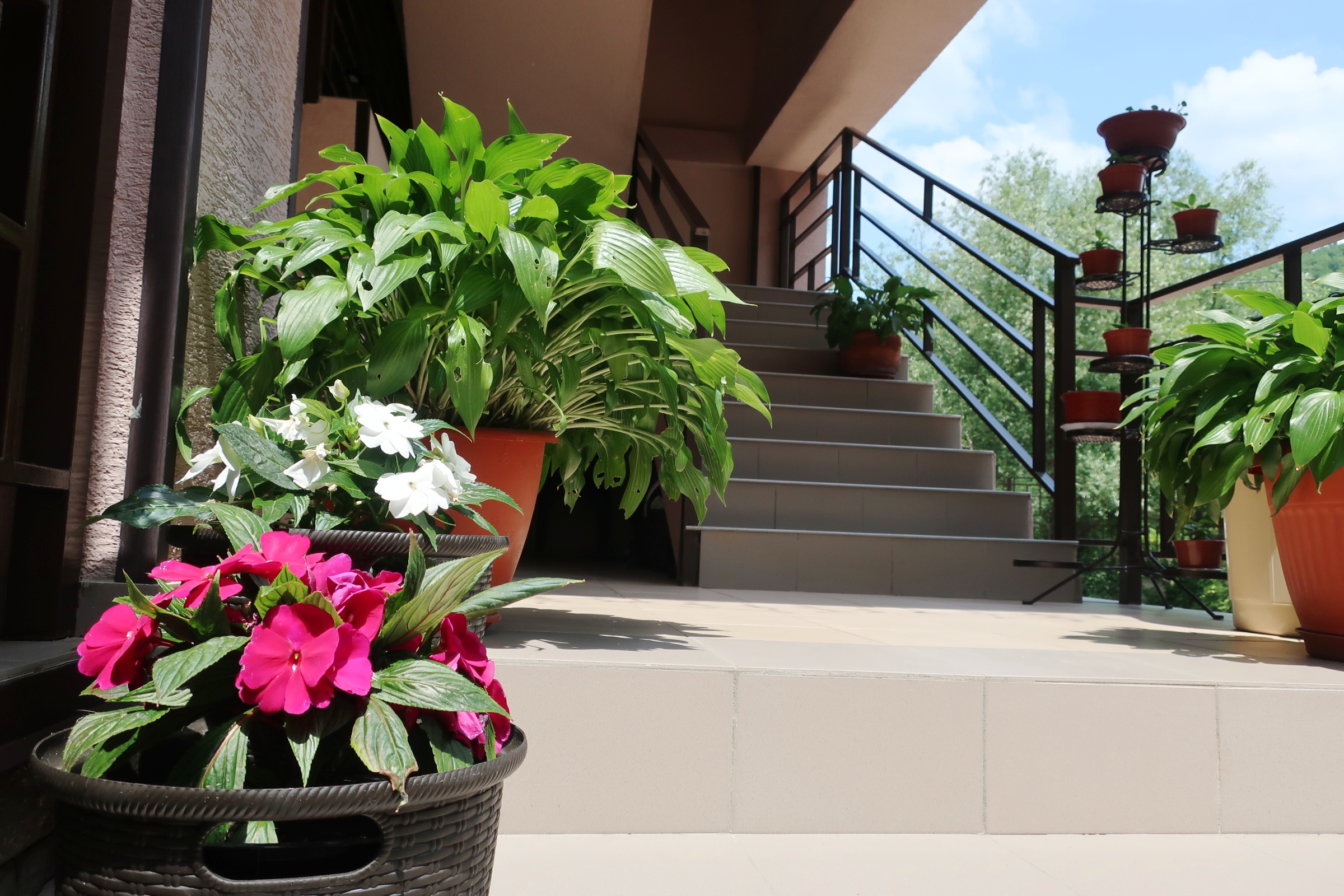 Фото Гостевой дом Шоколад