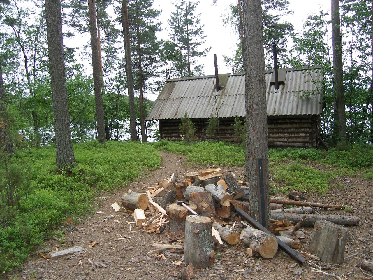 Фото Курмойла