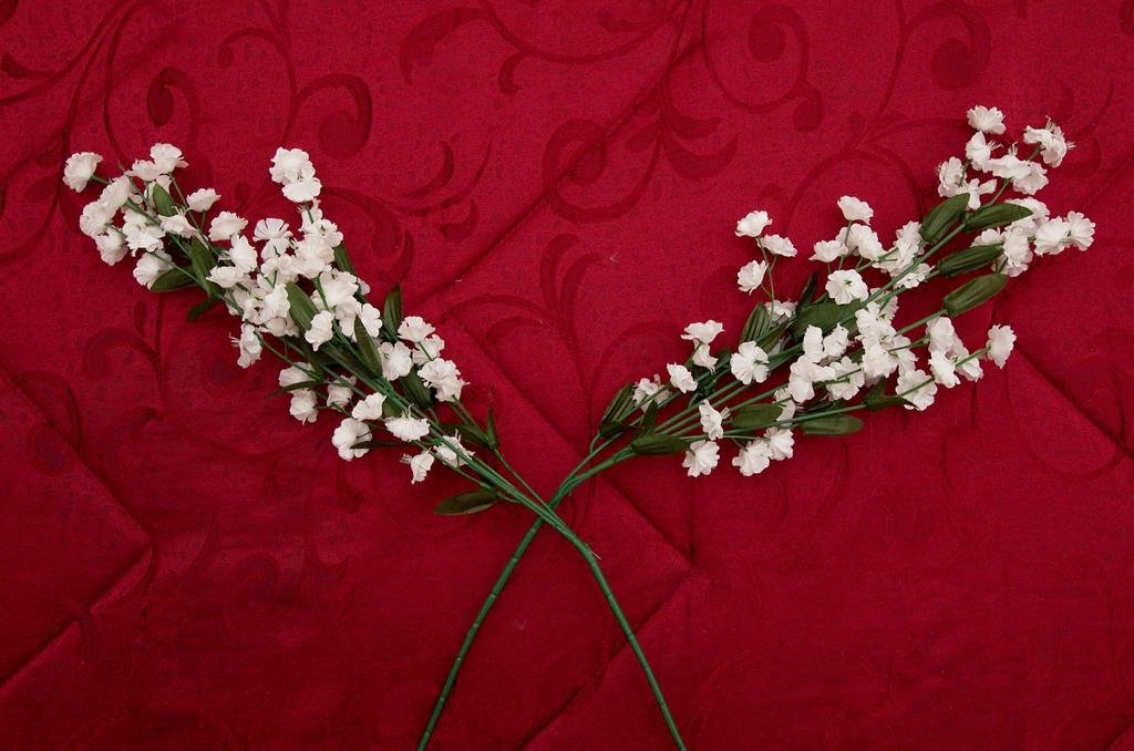 Фото Roma Tempus