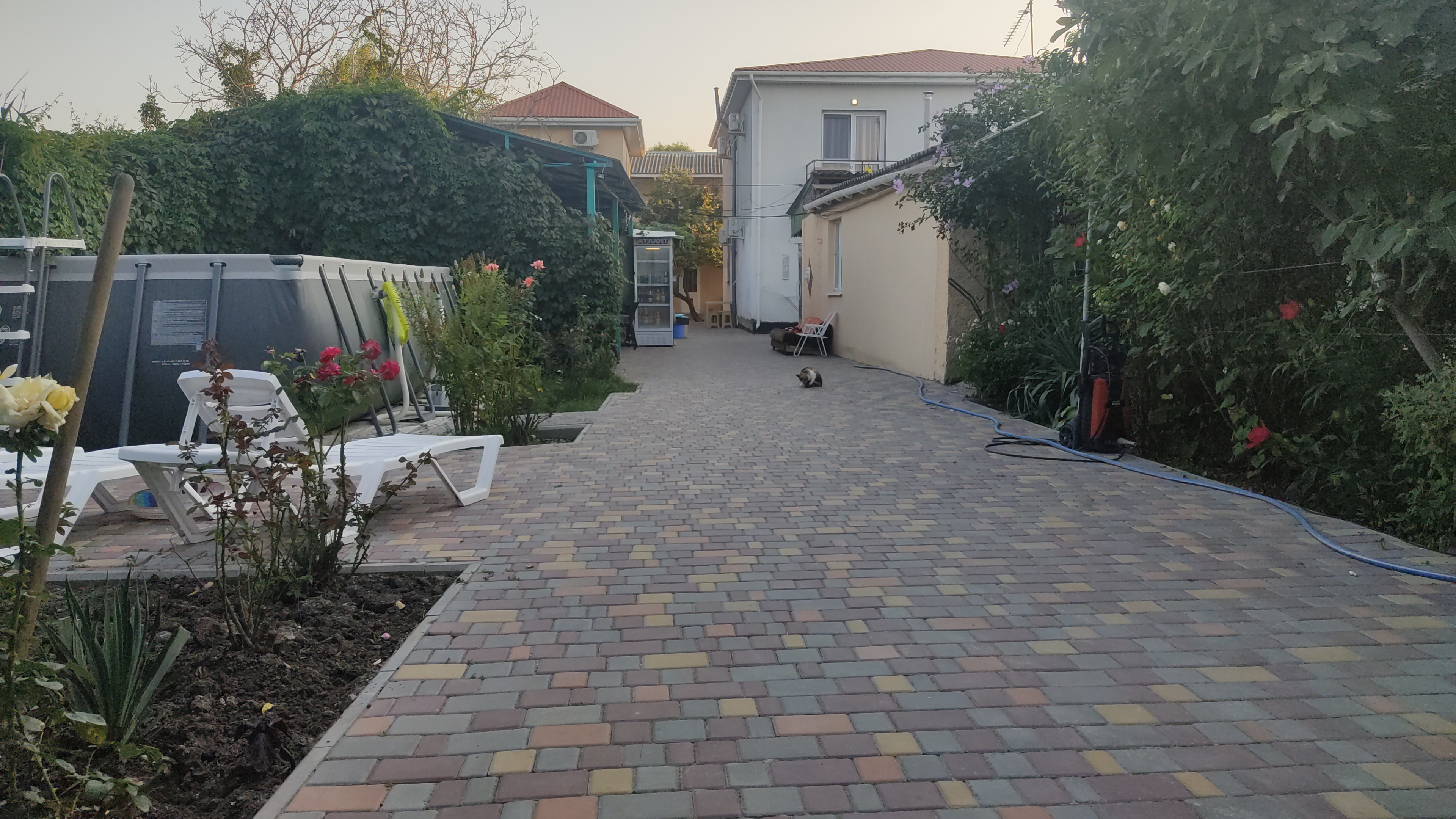 Фото У Алексея