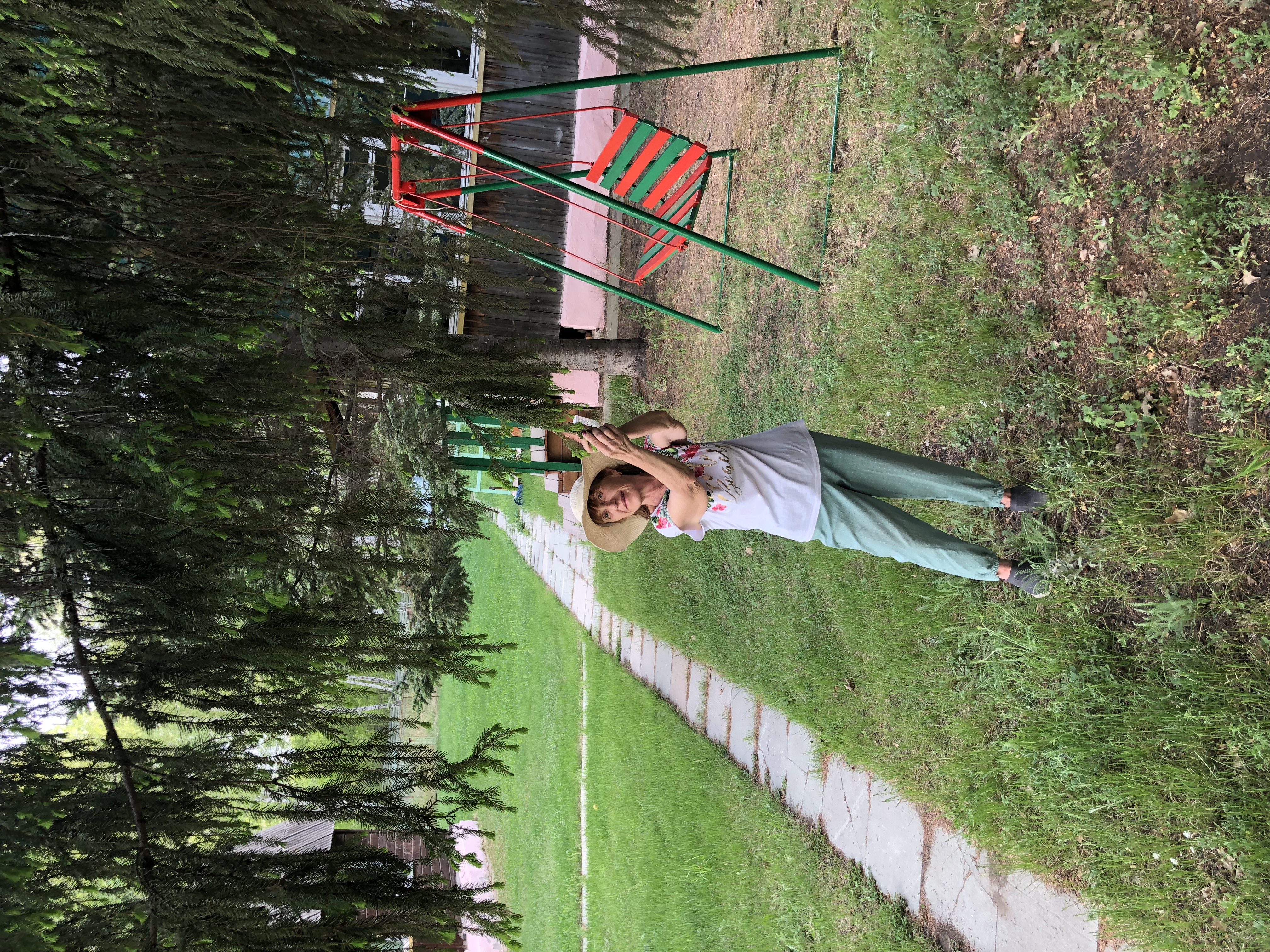 Фото Зелёная поляна