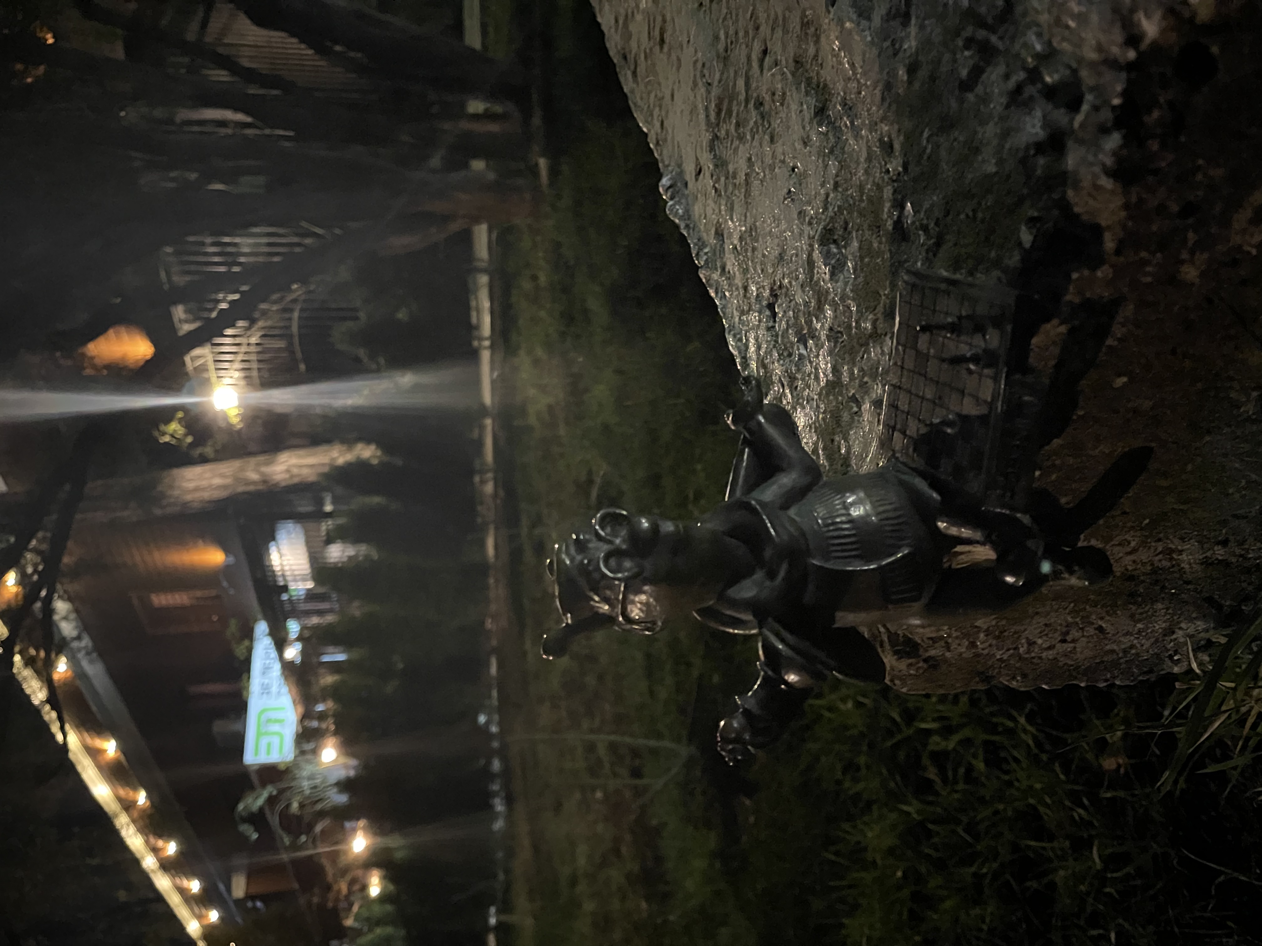 Фото Зеленый театр