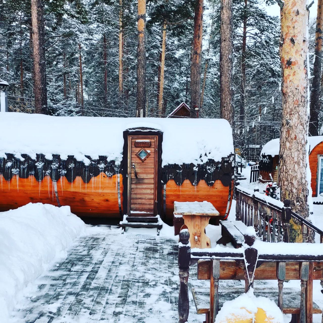 Фото Дача в соснах