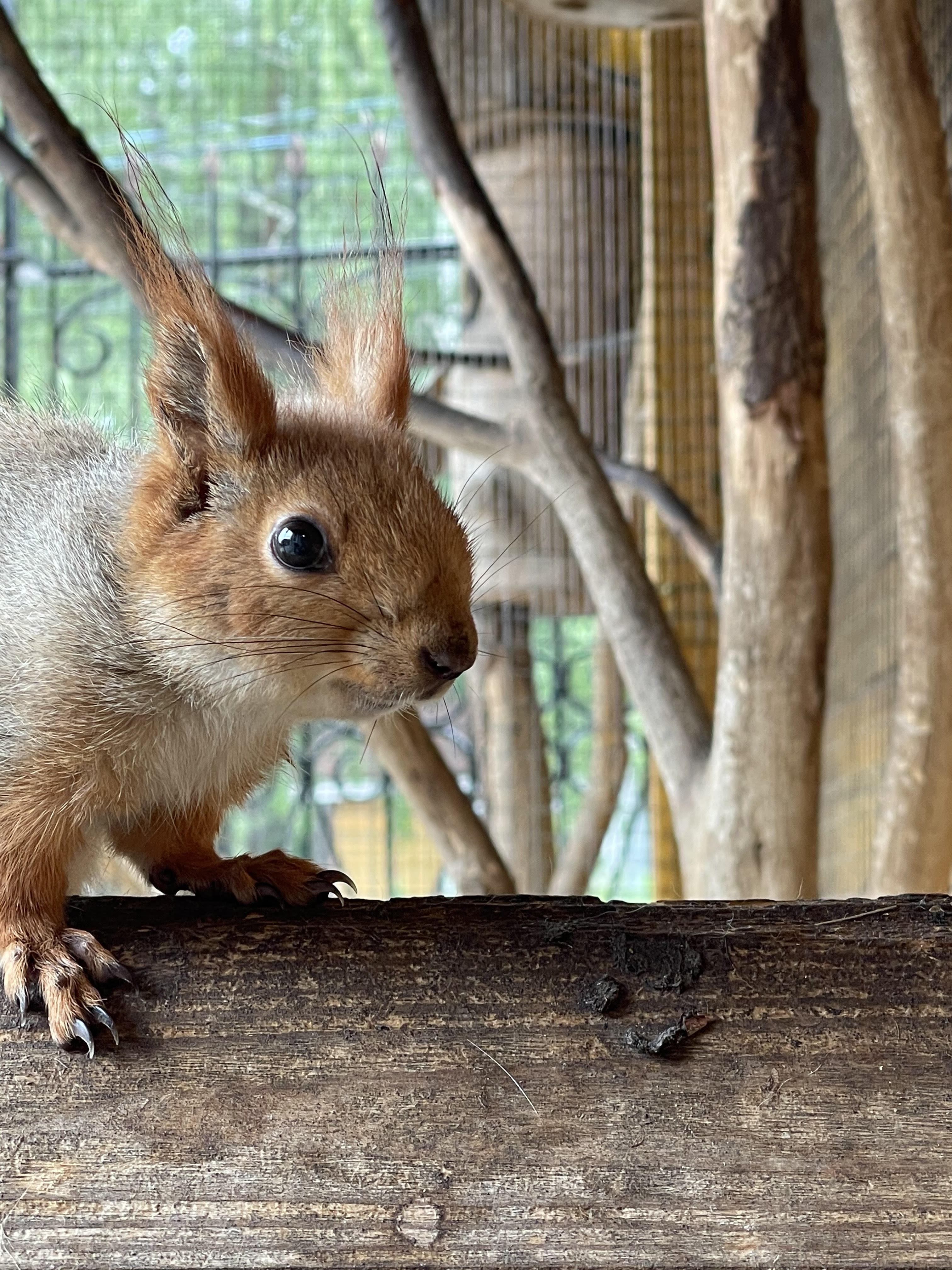 Фото Гнездо Хорошее место