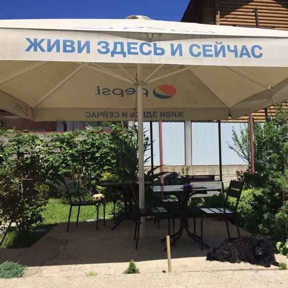 Фото Енисей