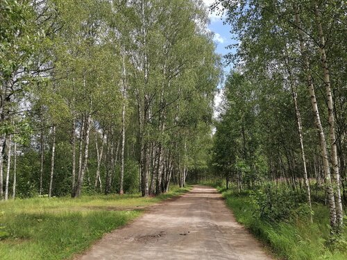 Детский лагерь отдыха МАОУ ДОД Детский загородный оздоровительно-образовательный центр Зарница, Тверская область, фото