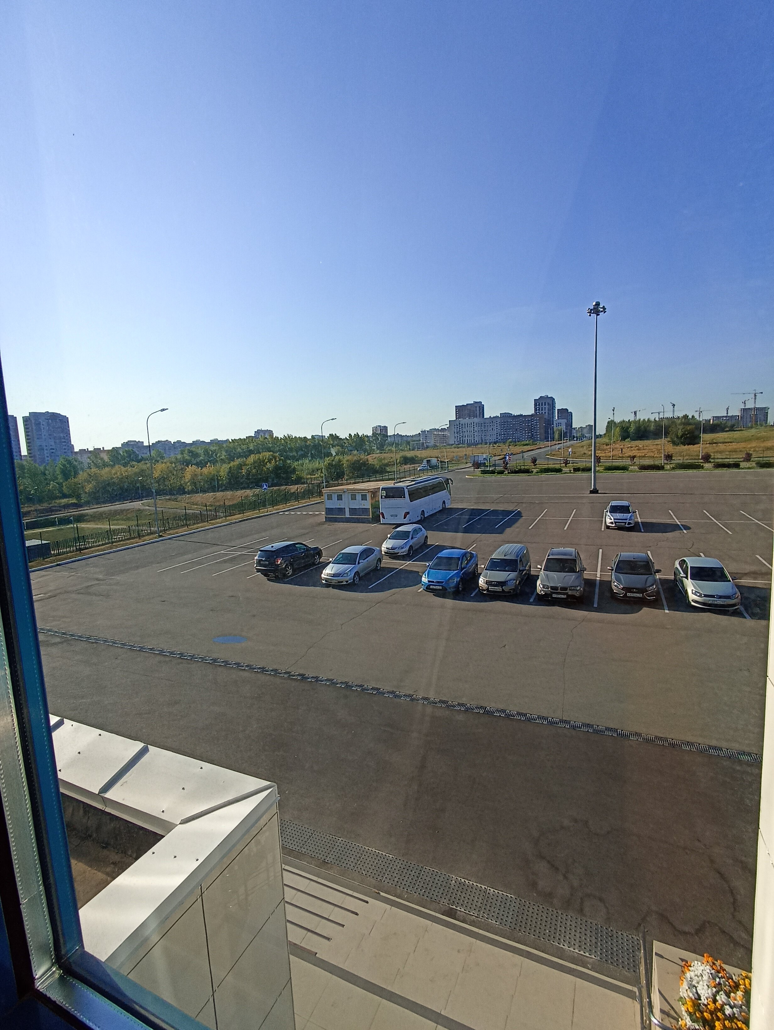 Фото Азалия на Аграрной