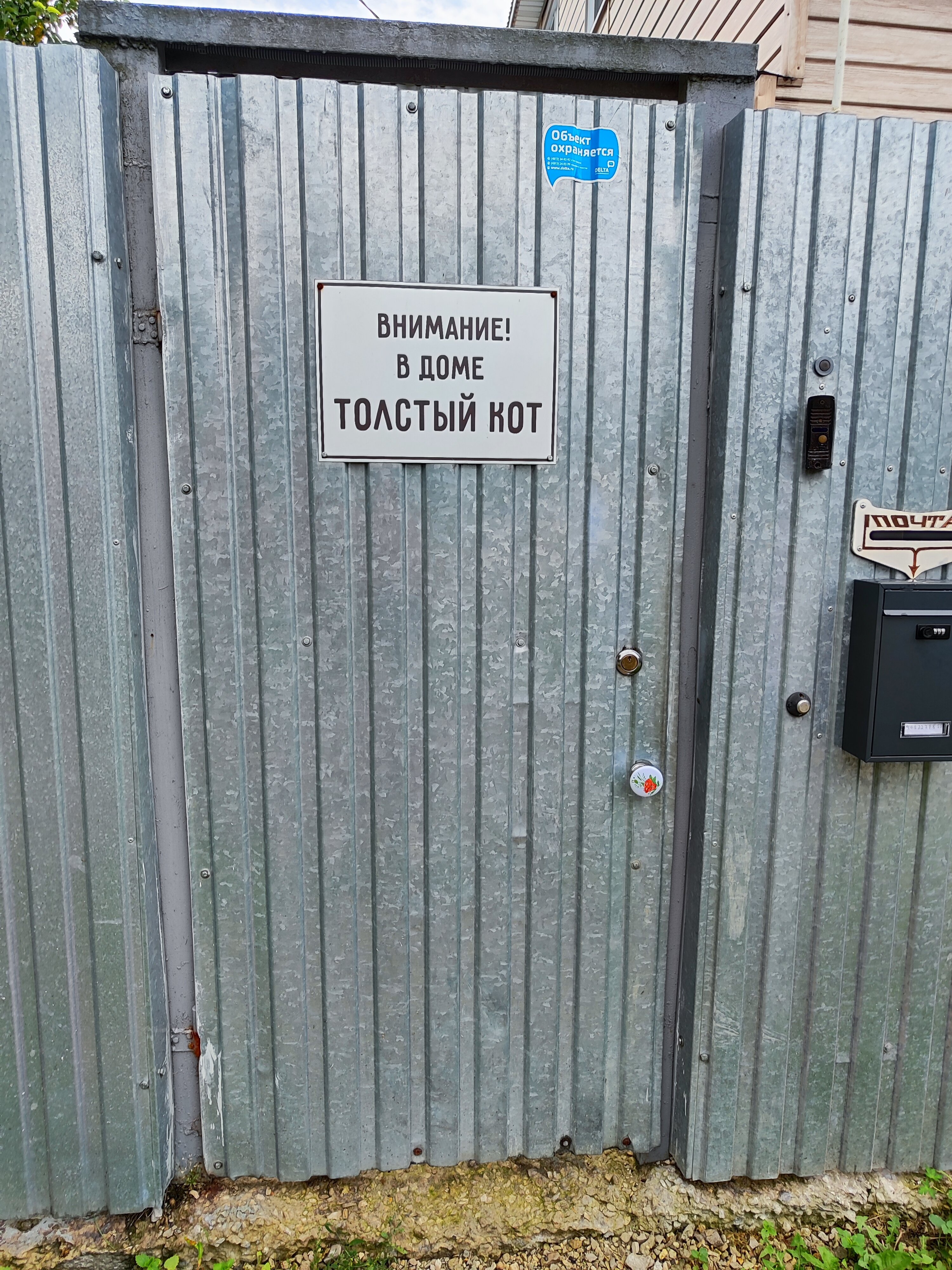 Фото Толстый кот