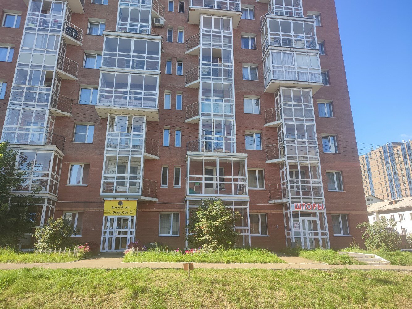 Фото Добрый Кот