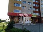 Центр управления платежами (Leningradskiy rayon, mikrorayon Selma, Villima Fermora Street, 10), payment terminal