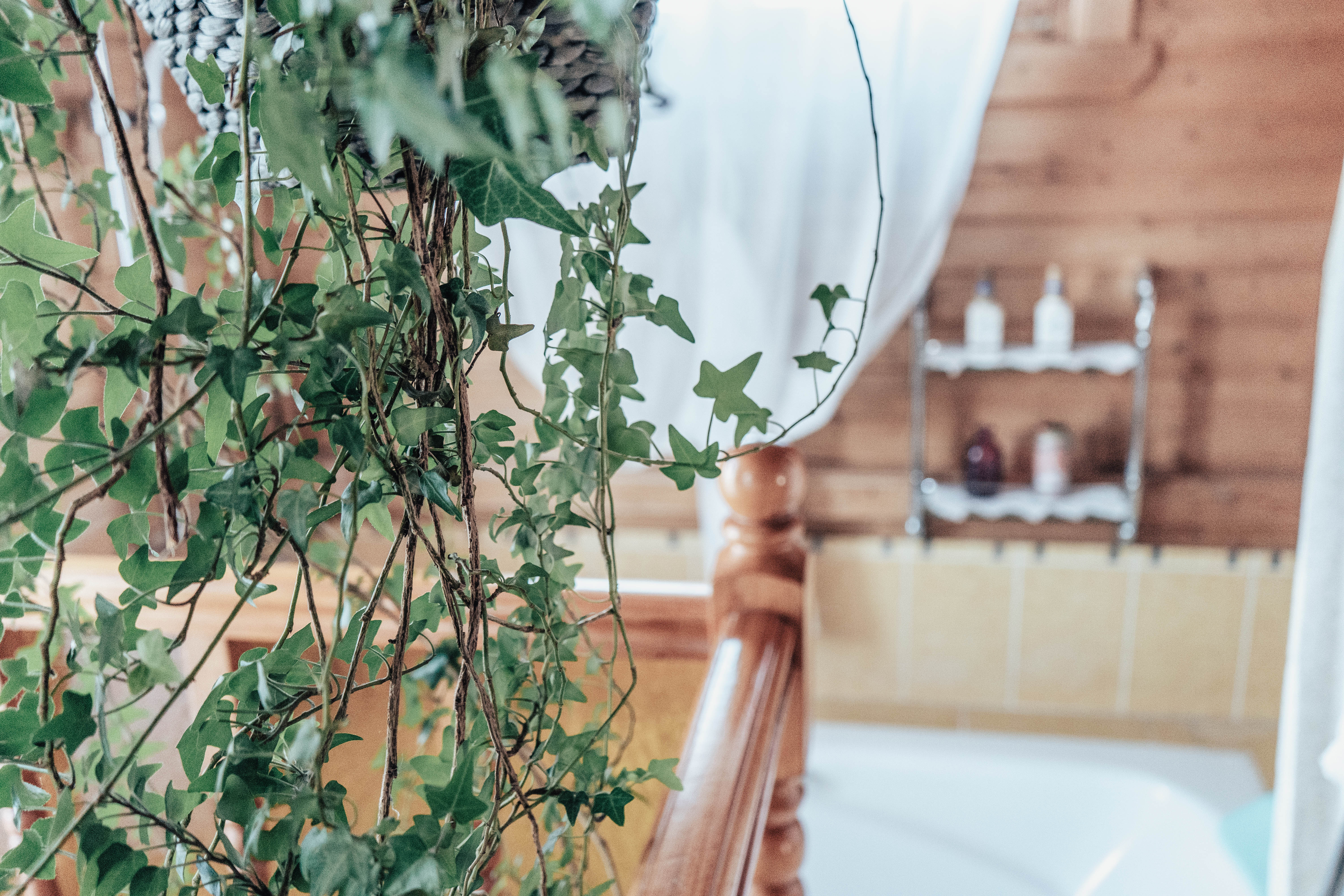 Фото Вилла Анцута