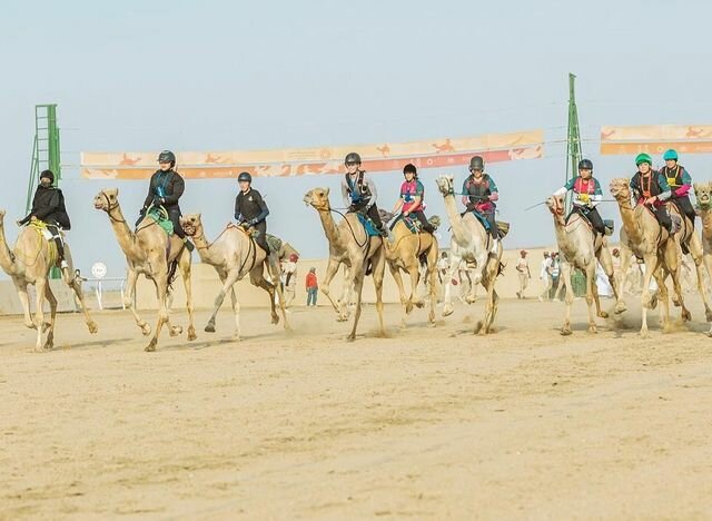 Horse riding Arabian Desert Camel Riding Centre, Emirate of Dubai, photo