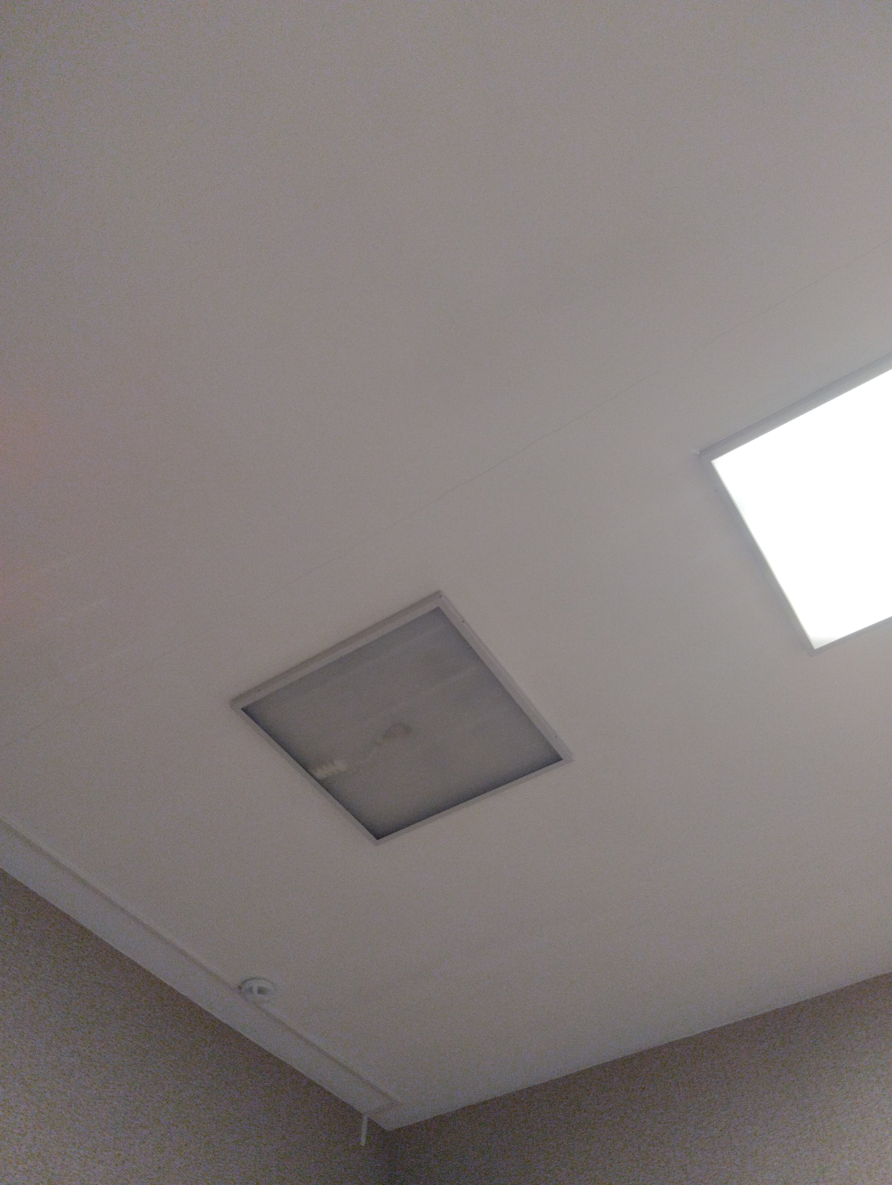 Фото Виктория