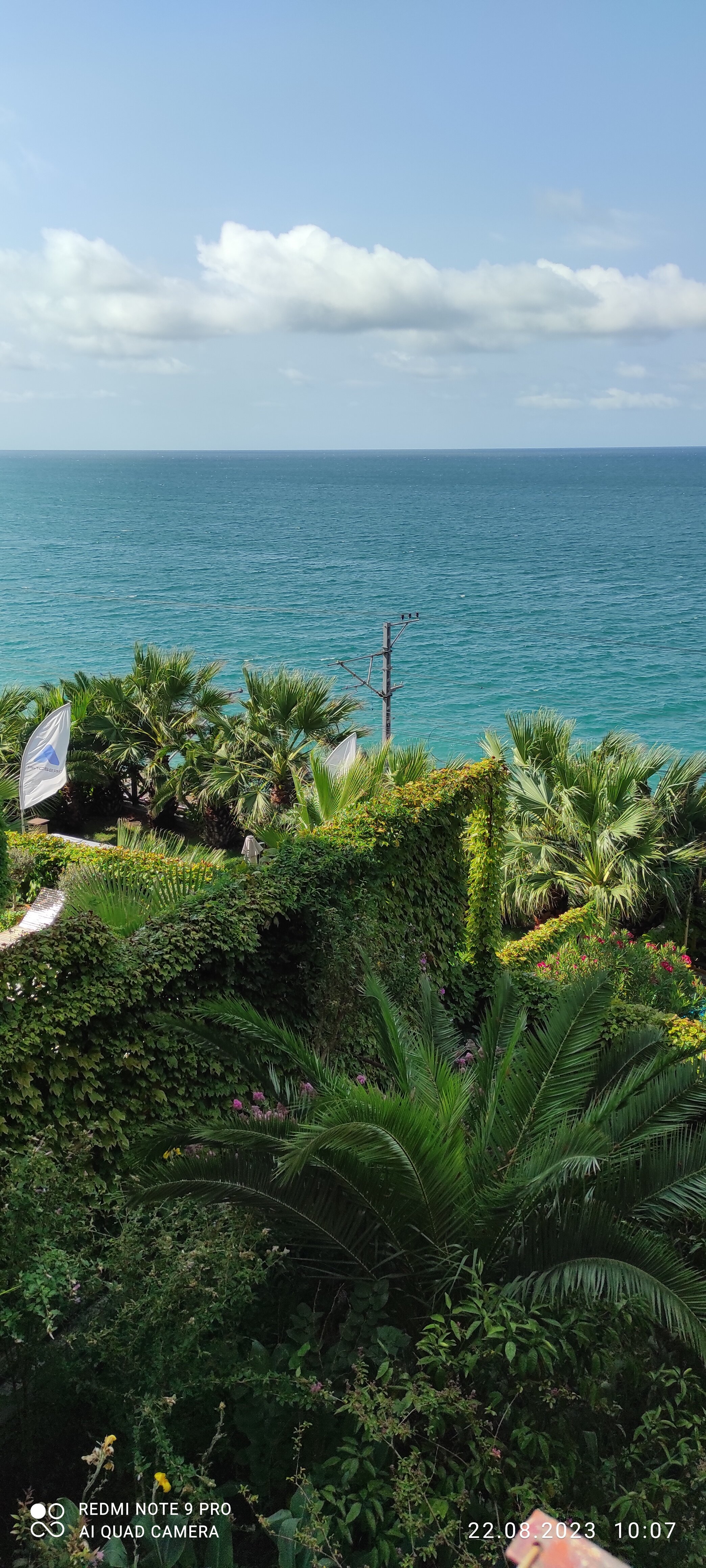 Фото Мистраль