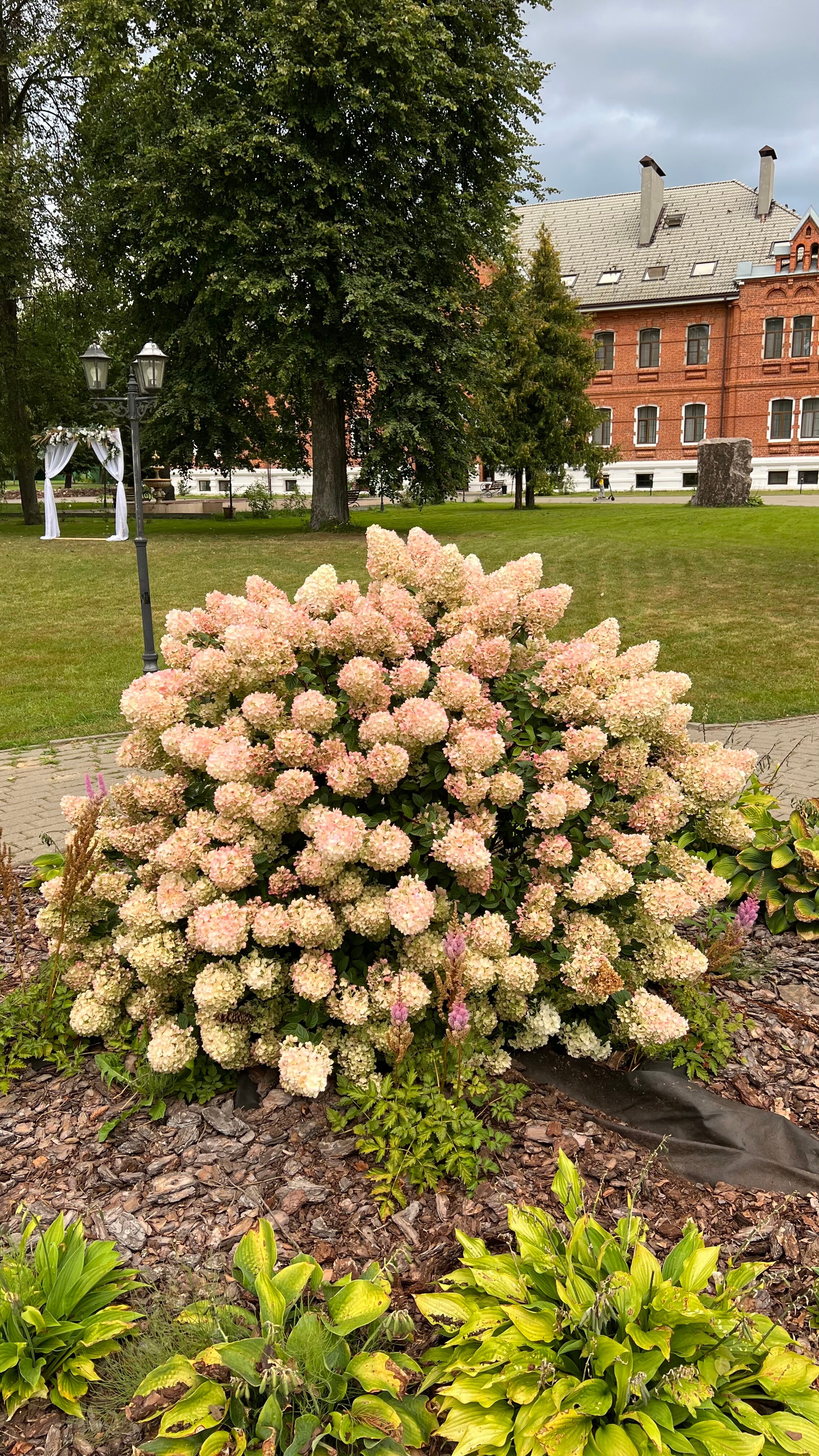 Фото Малиновая слобода