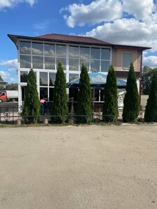 Mario (rabochiy posyolok Sarai, ulitsa Lenina, 185) ، مقهى