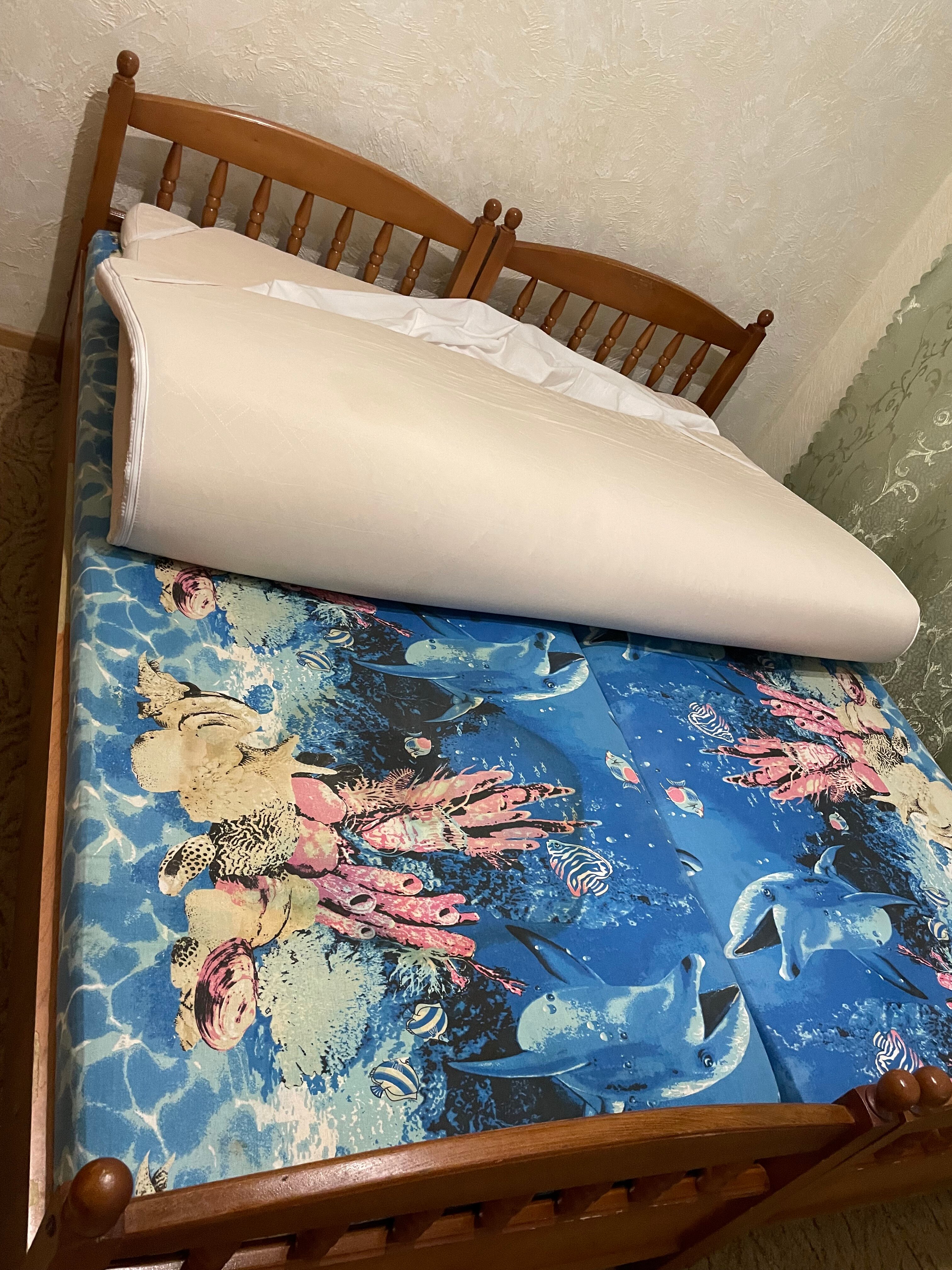 Фото Акация