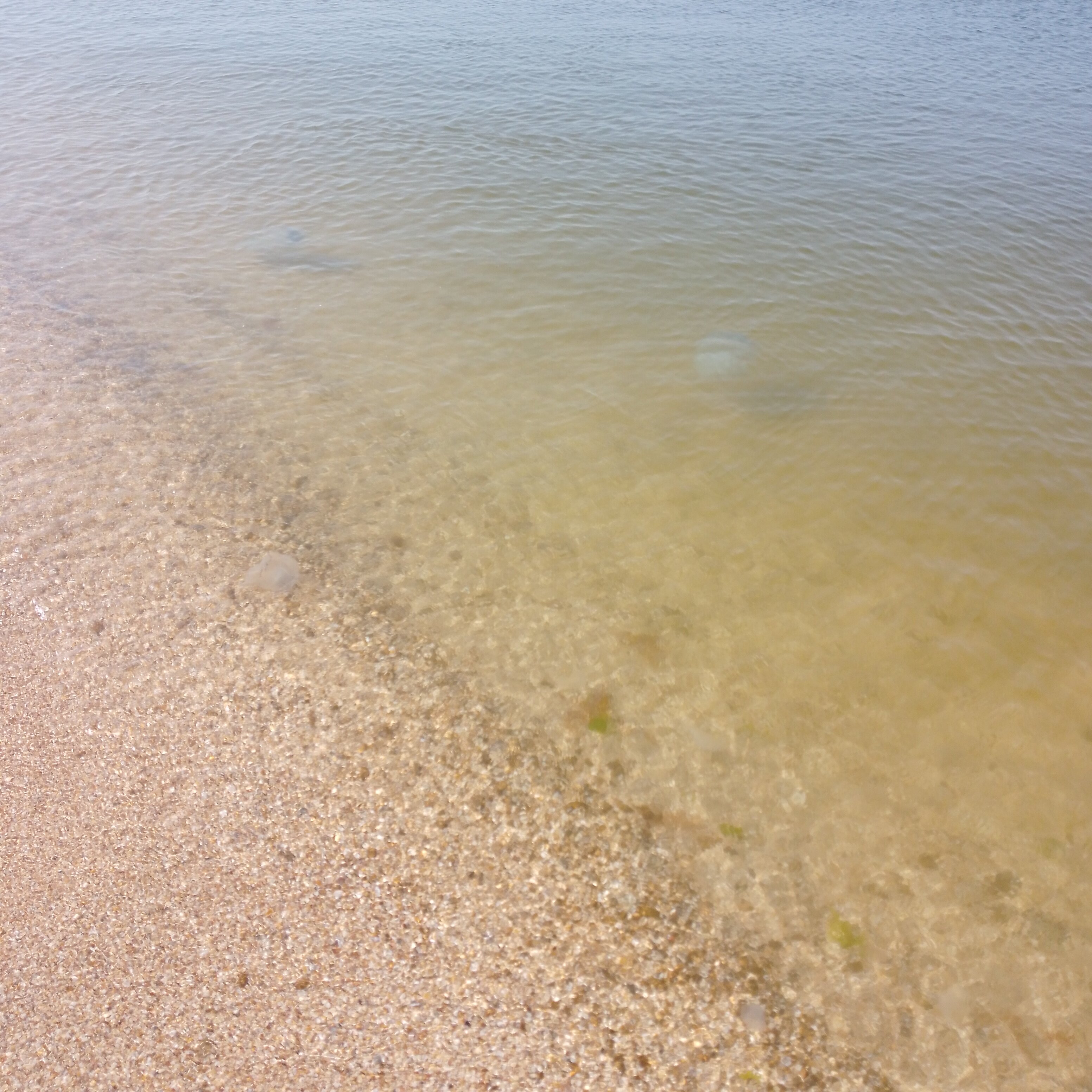 Фото У Петровича