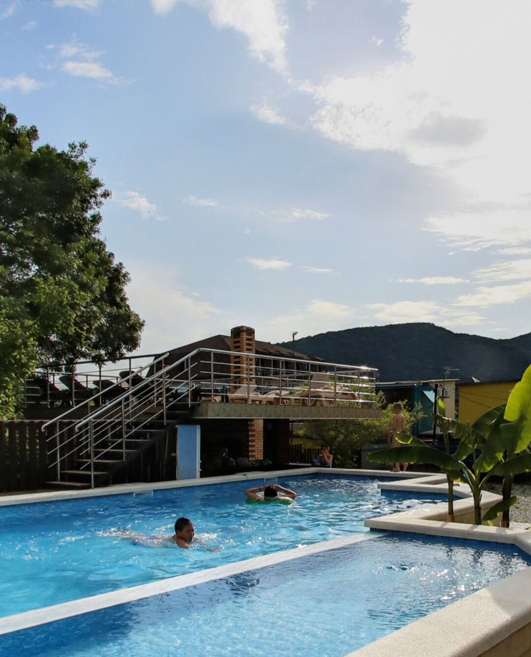 Фото Березы