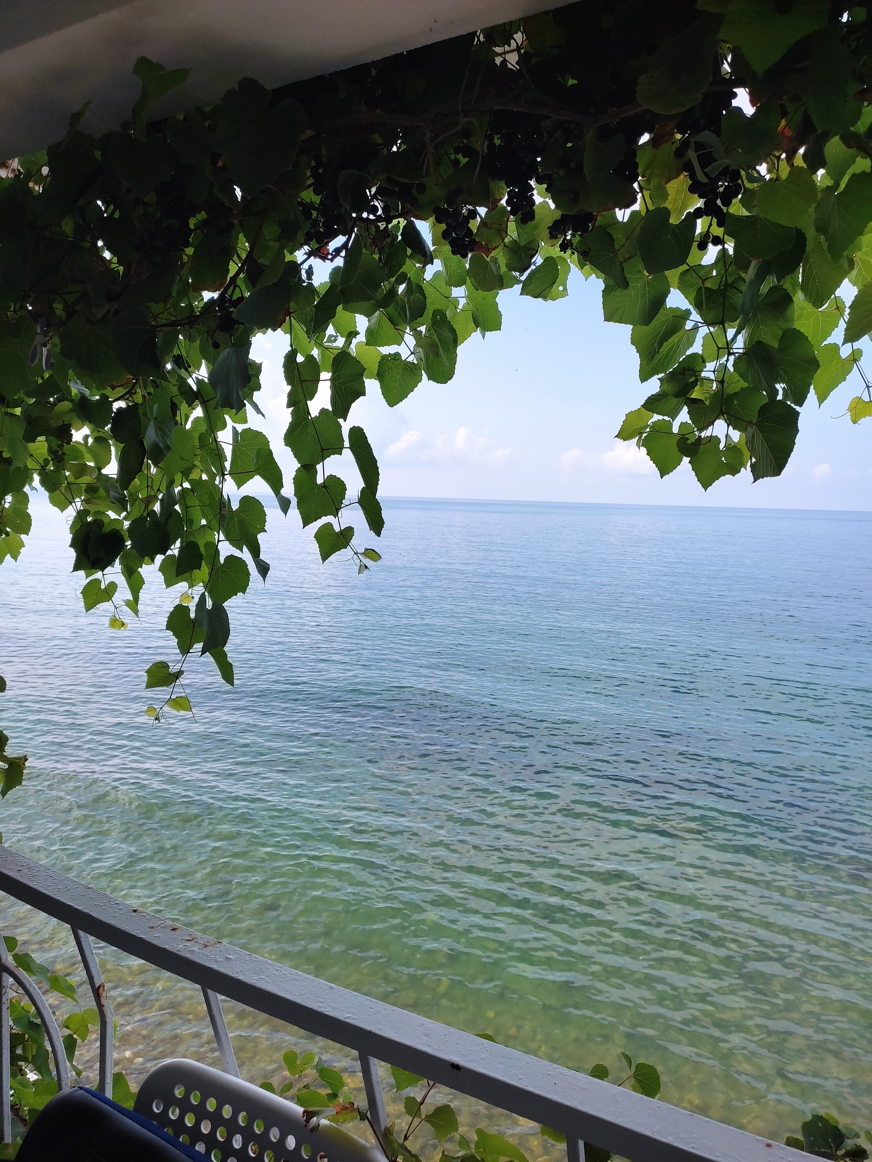 Фото Солнечный