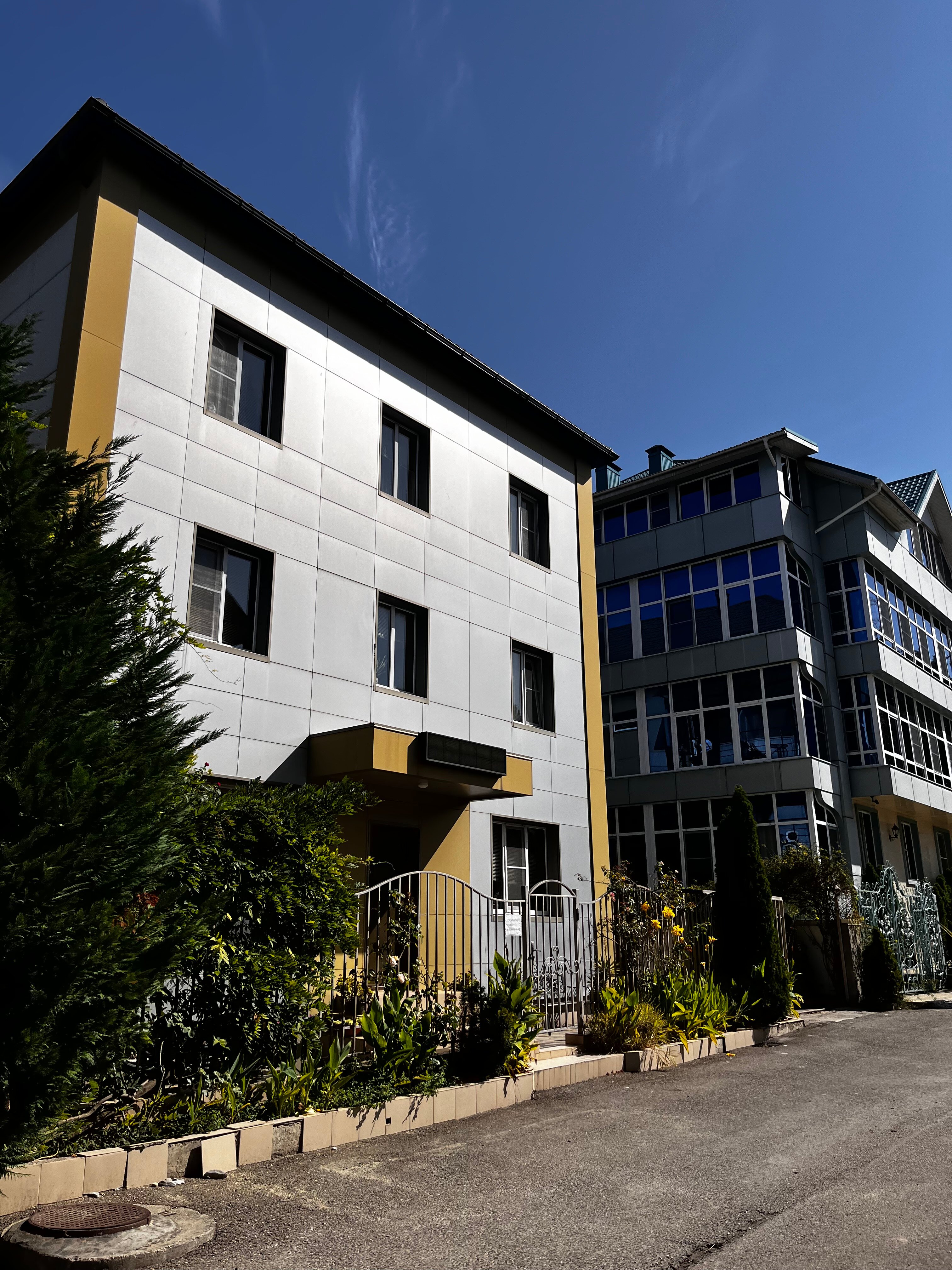 Фото Золотая рыбка