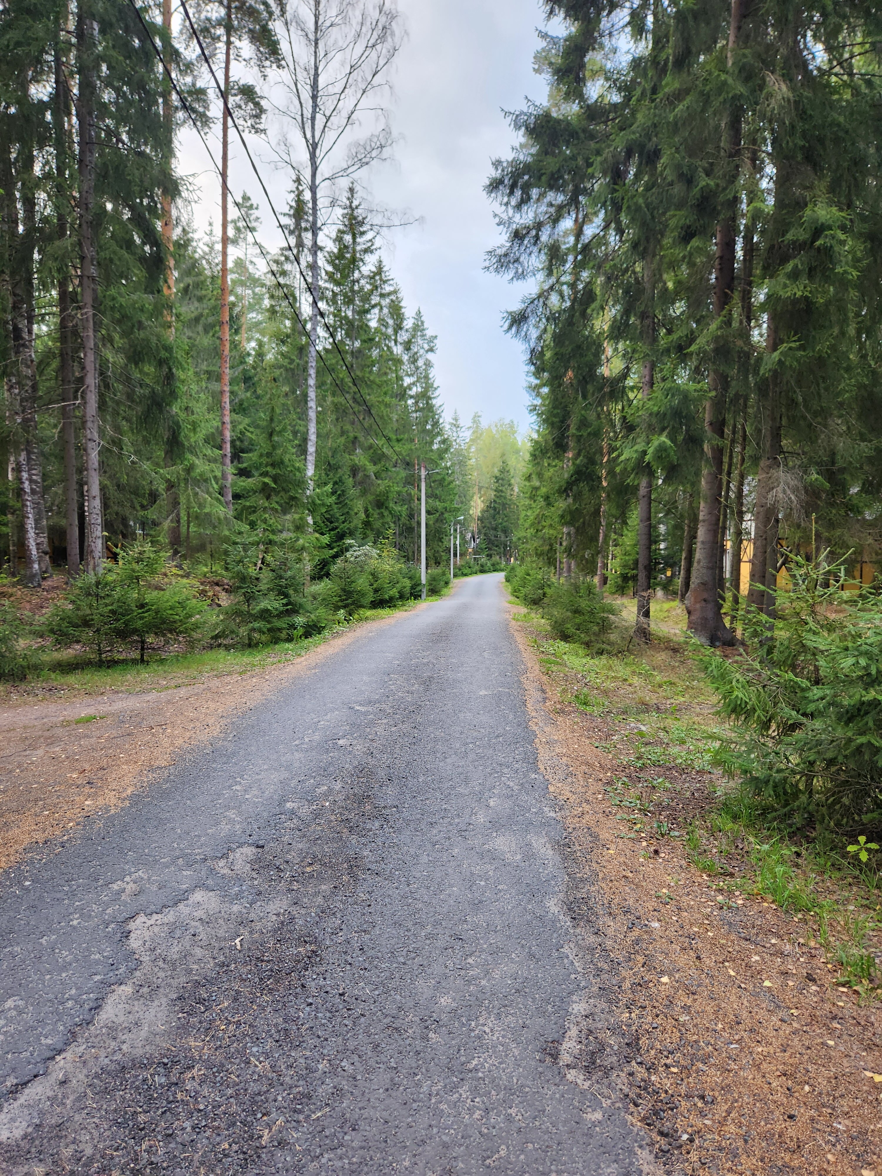 Фото Драгунский ручей