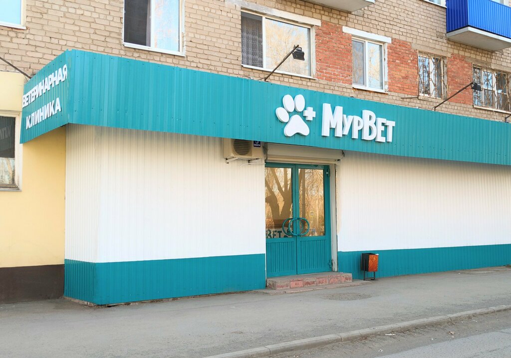 Veterinary clinic MurVet, Orsk, photo