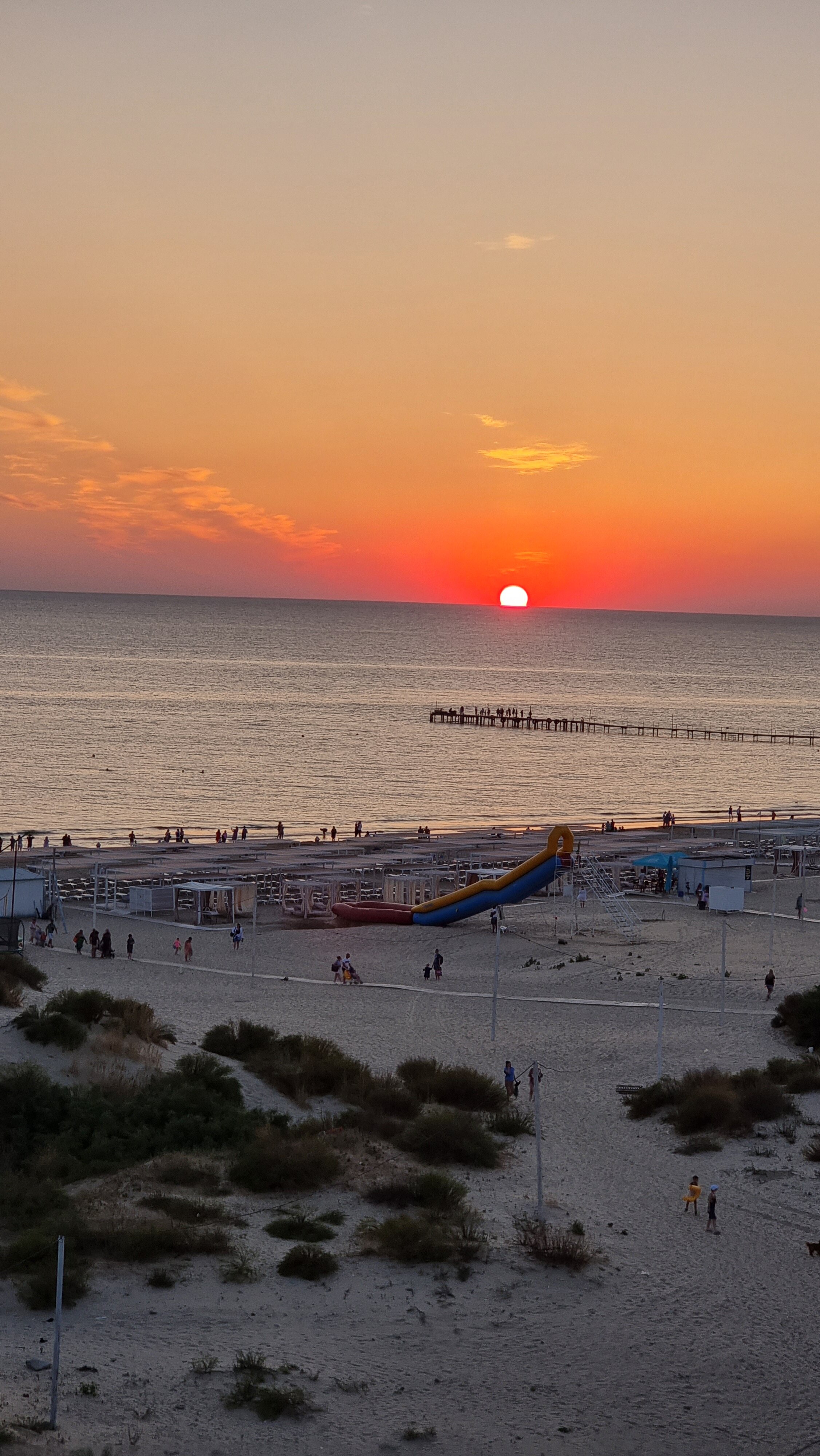 Фото Palma Soneta