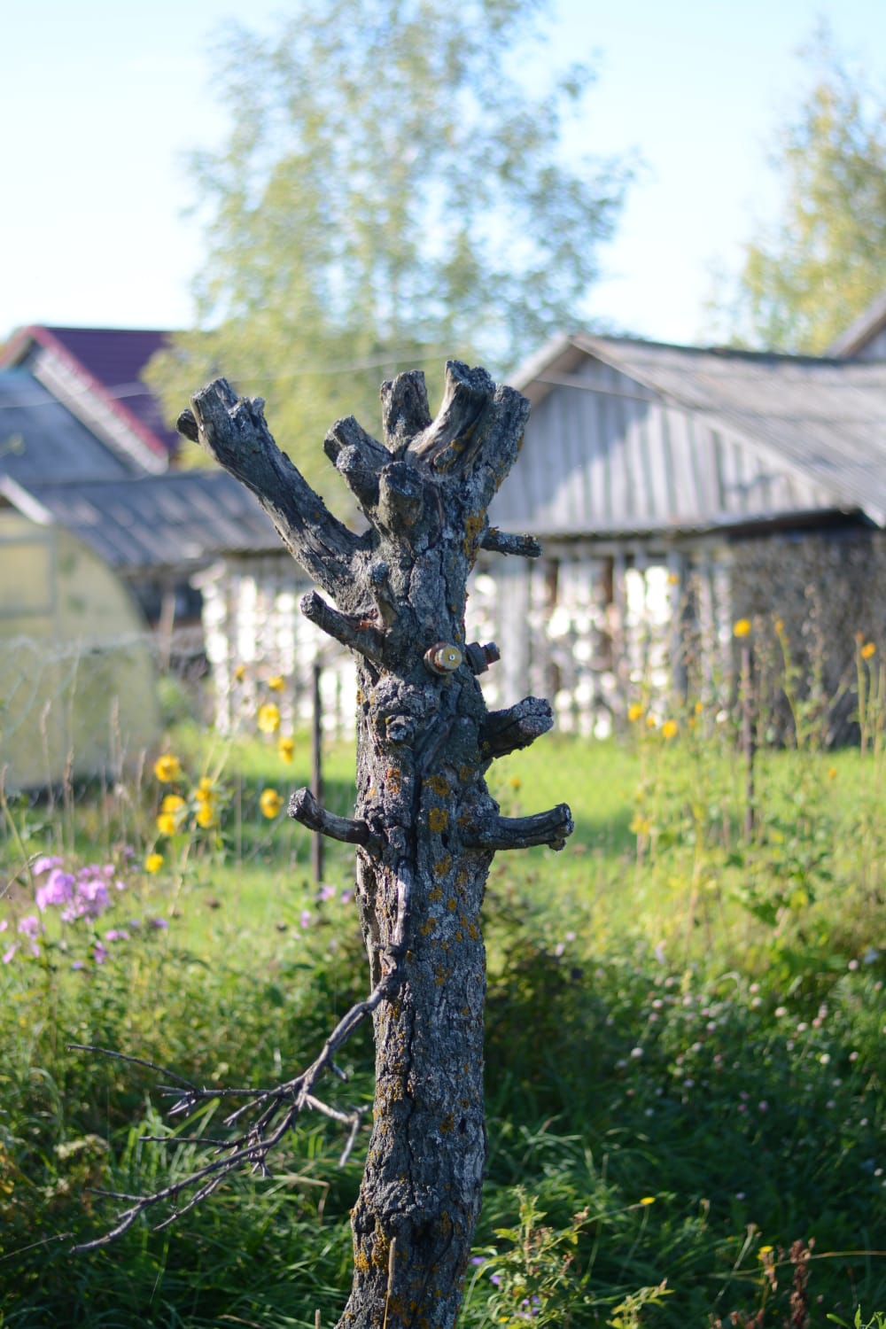 Фото Гостевой дом у Румянцевых