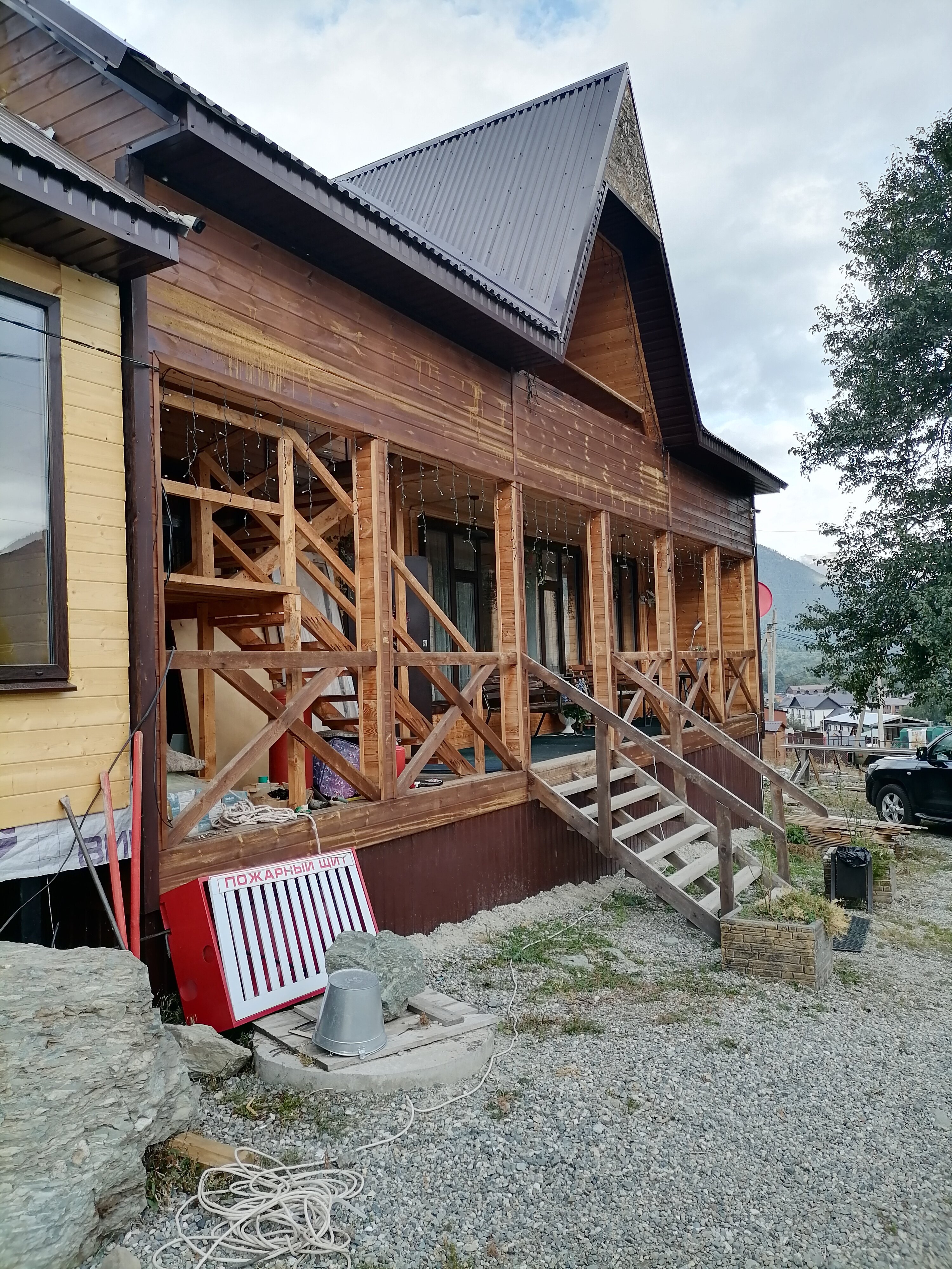 Фото Дикая груша