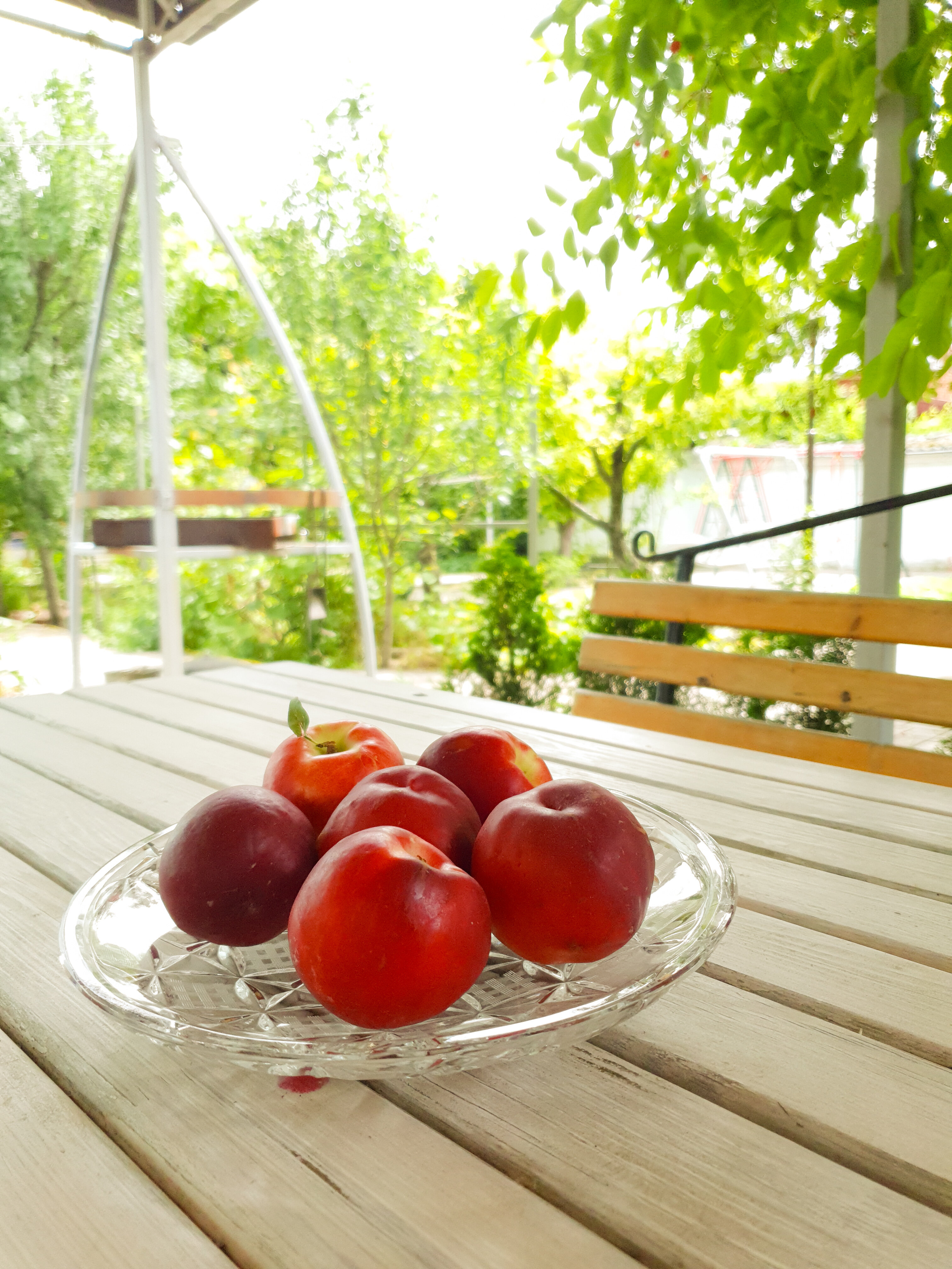 Фото Тамара