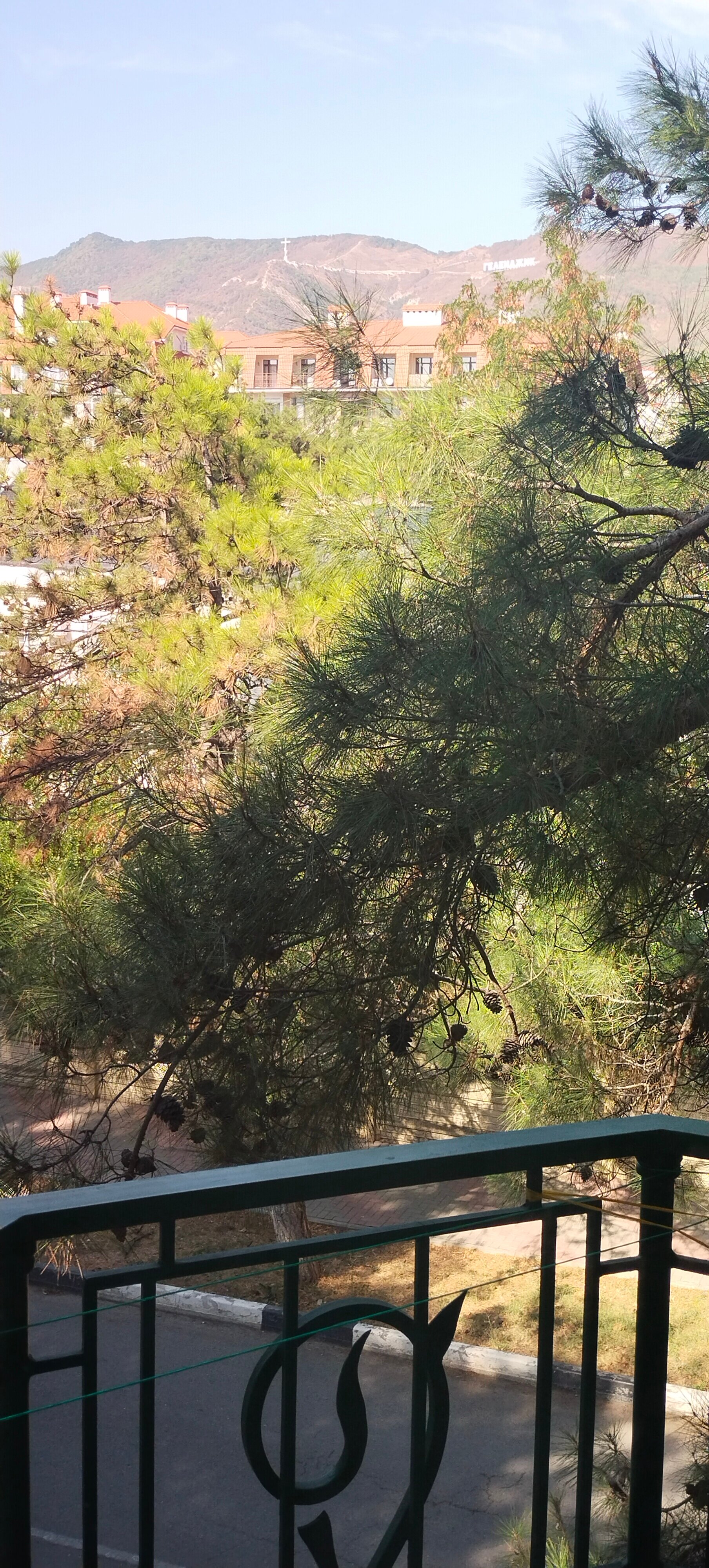 Фото Сосновая дача