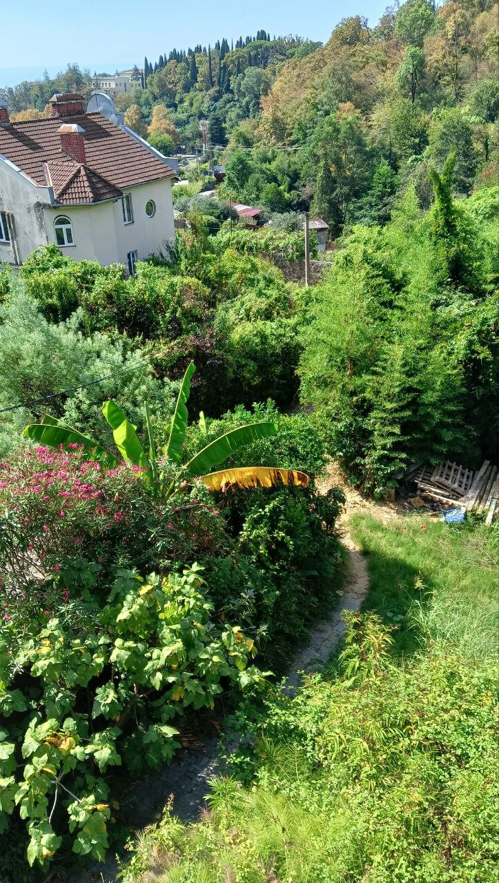 Фото Щелчок